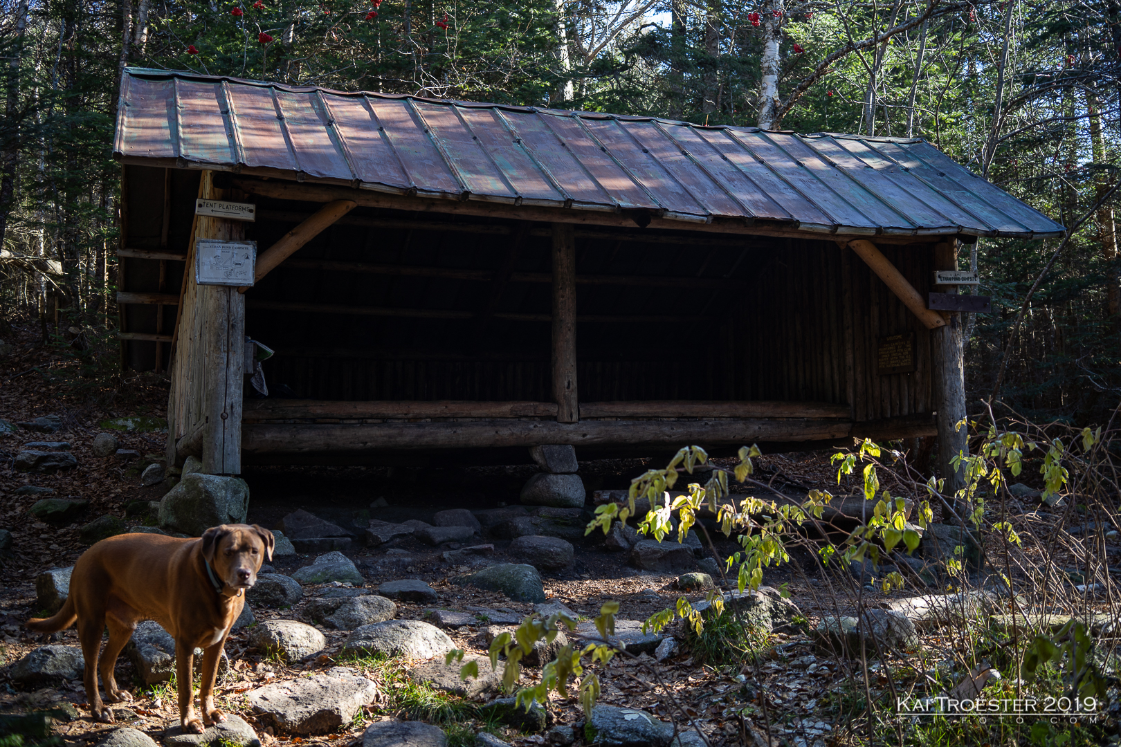 Ethan Pond Shelter