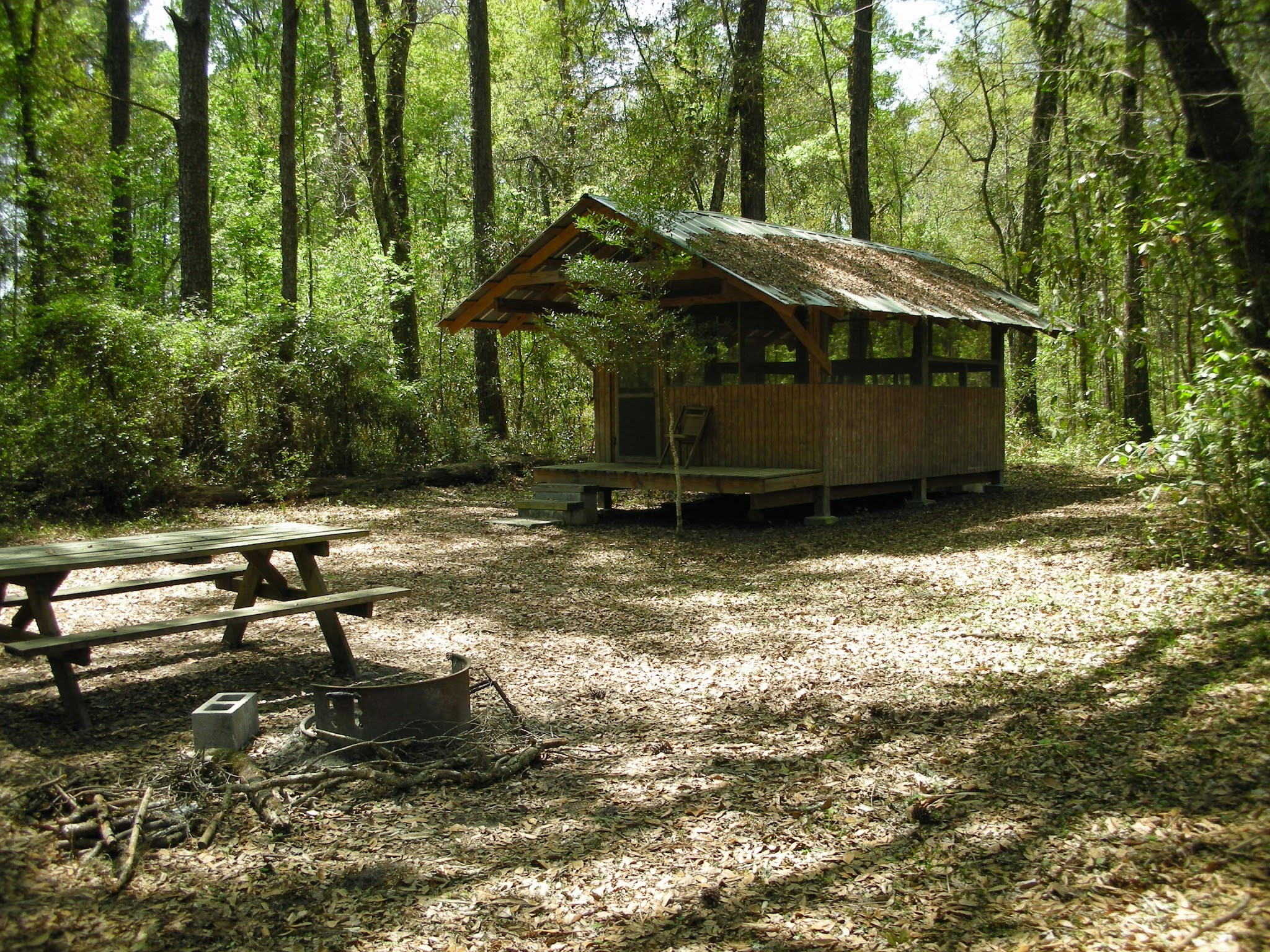 Etoniah Creek State Forest Green Camp