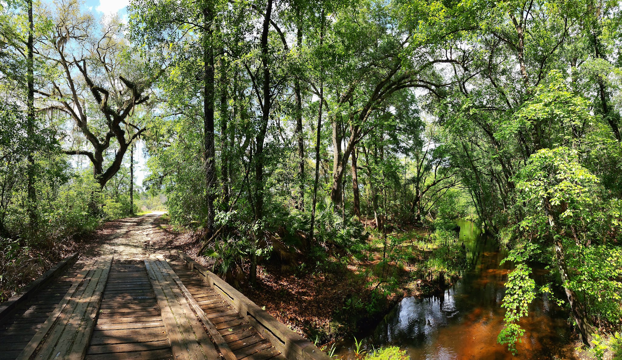 Etoniah Creek State Forest Green Camp