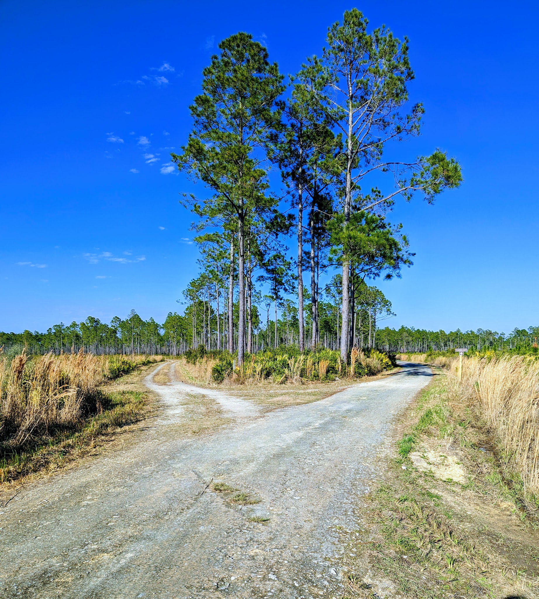 Etoniah Creek State Forest Green Camp