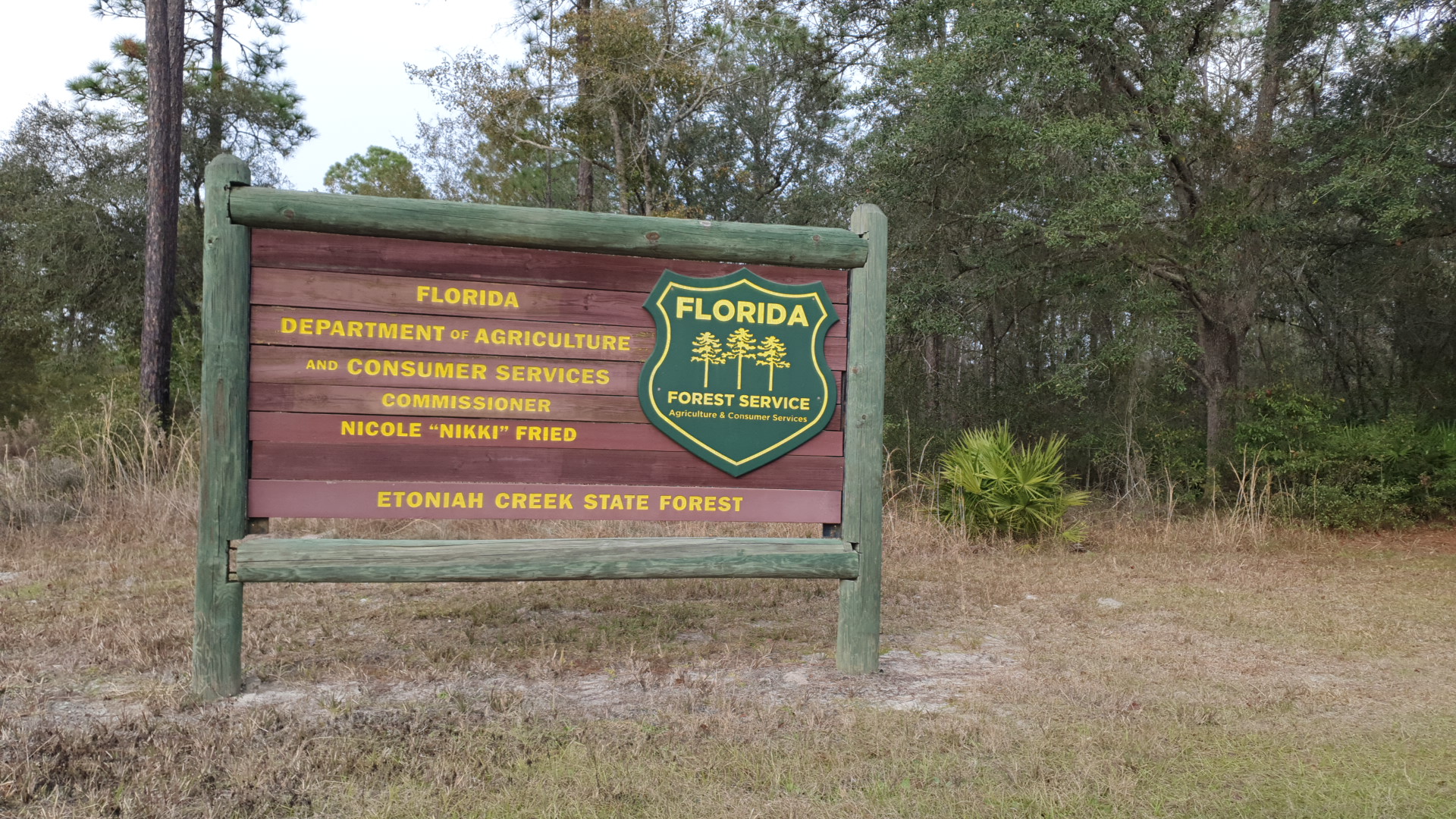 Etoniah Creek State Forest Green Camp