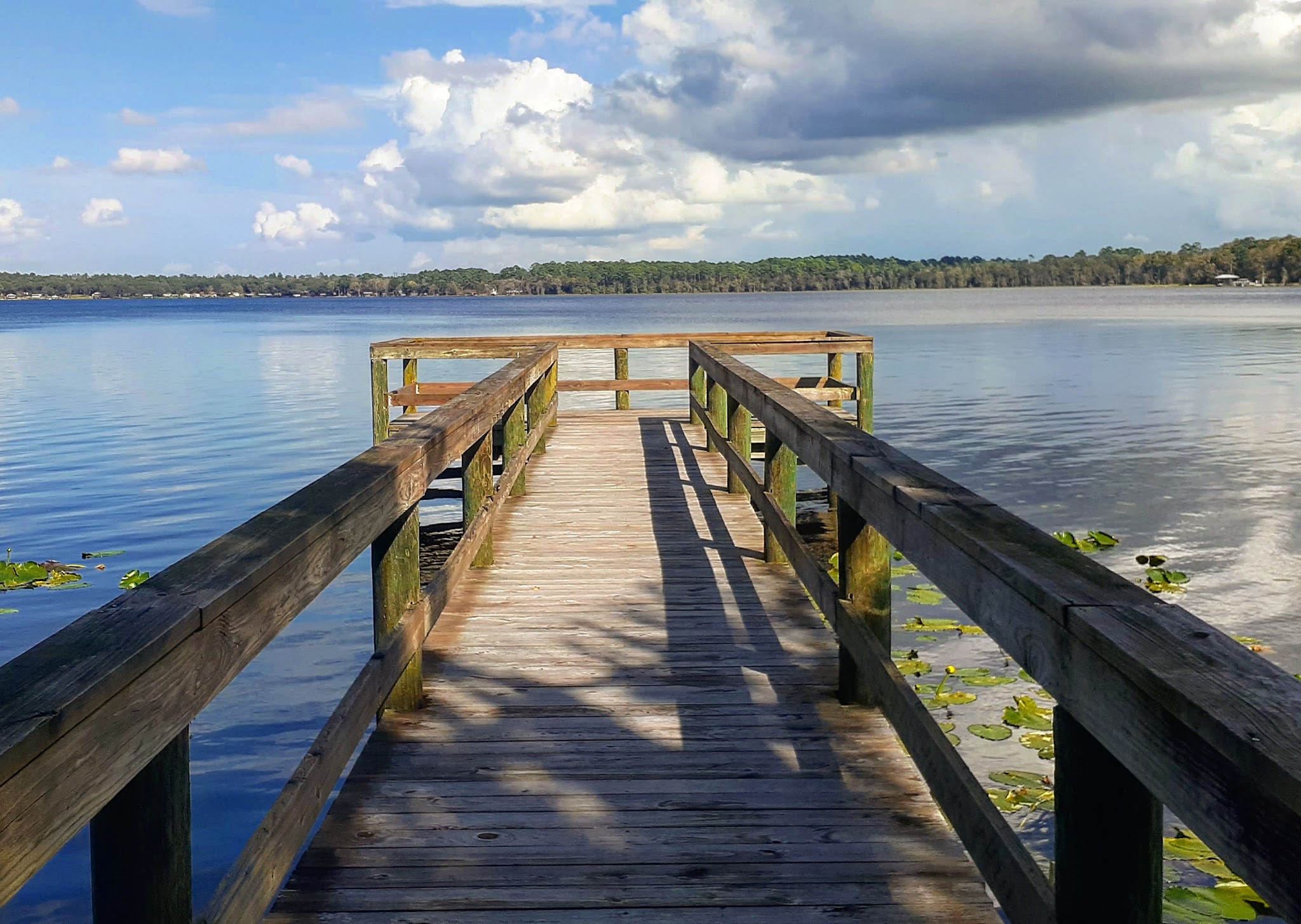 Etoniah Creek State Forest Green Camp