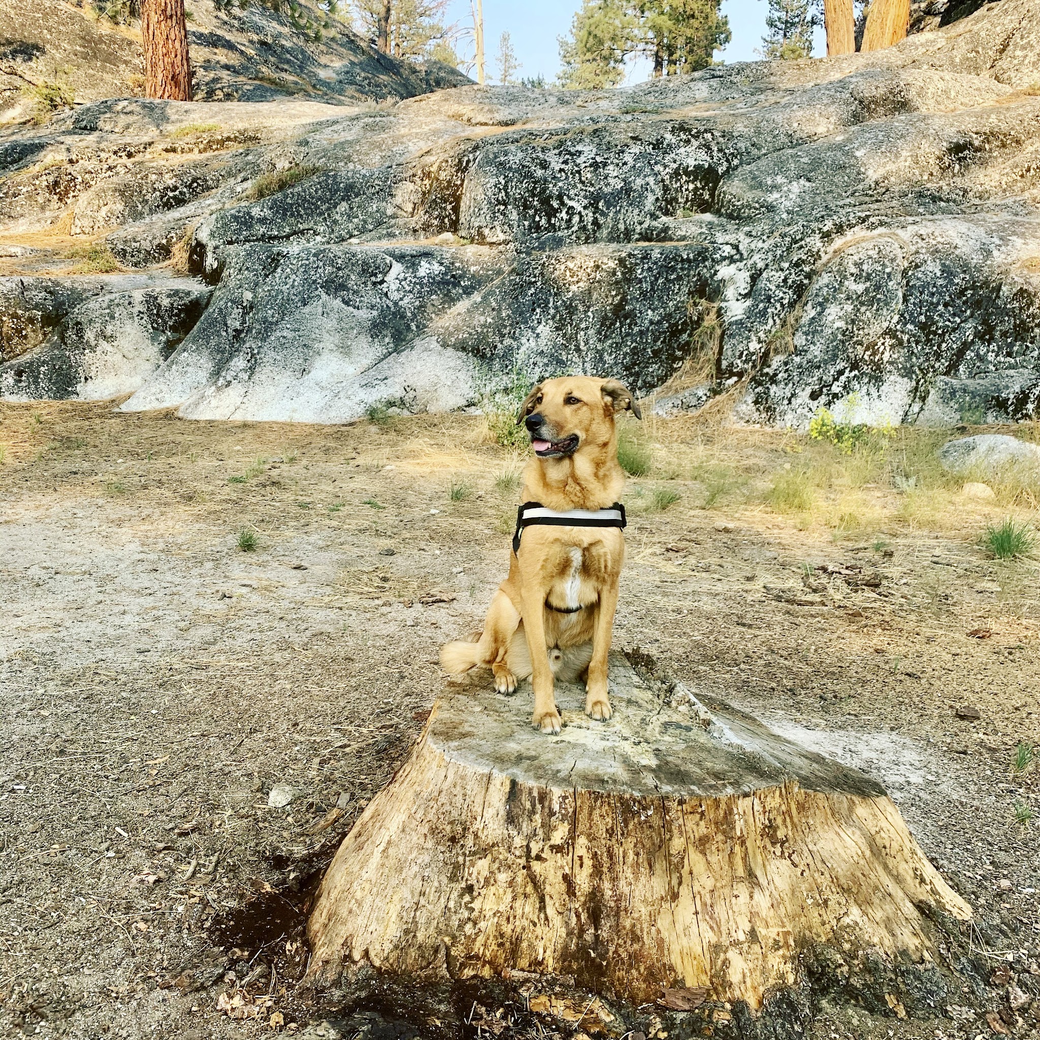 Eureka Valley Campground