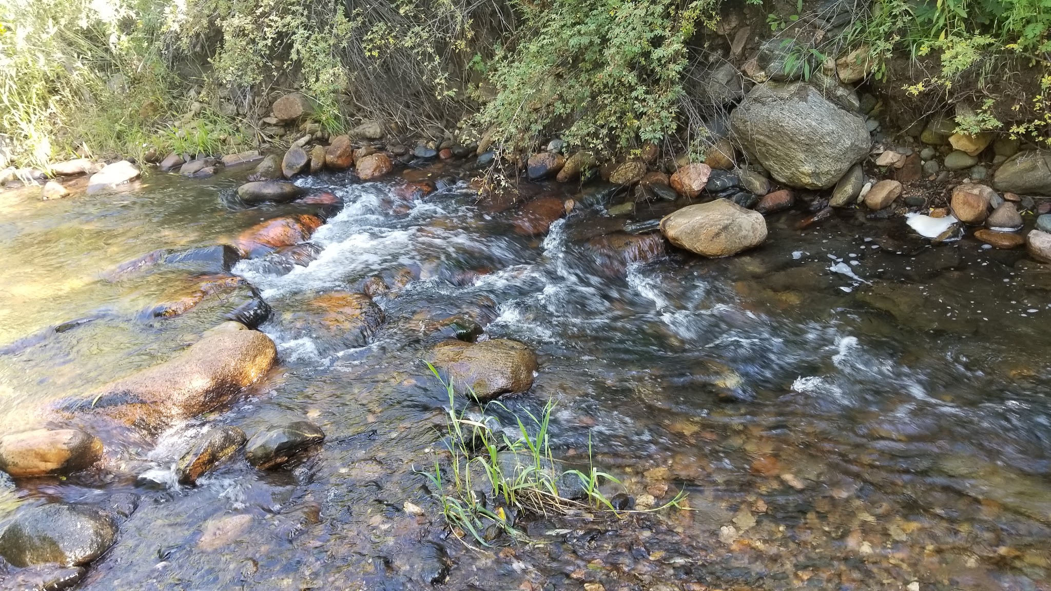 E.V. Long Campground