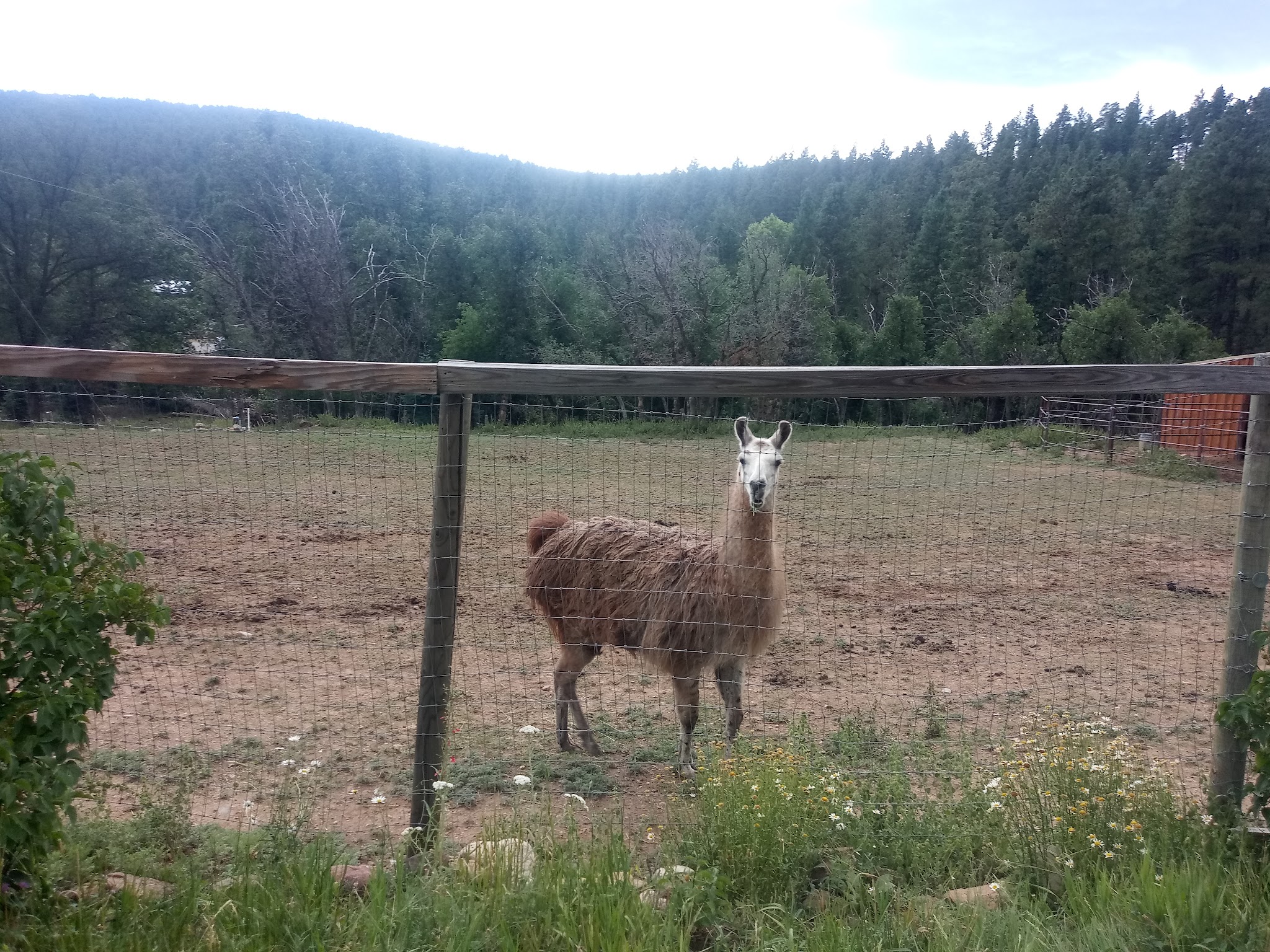 E.V. Long Campground