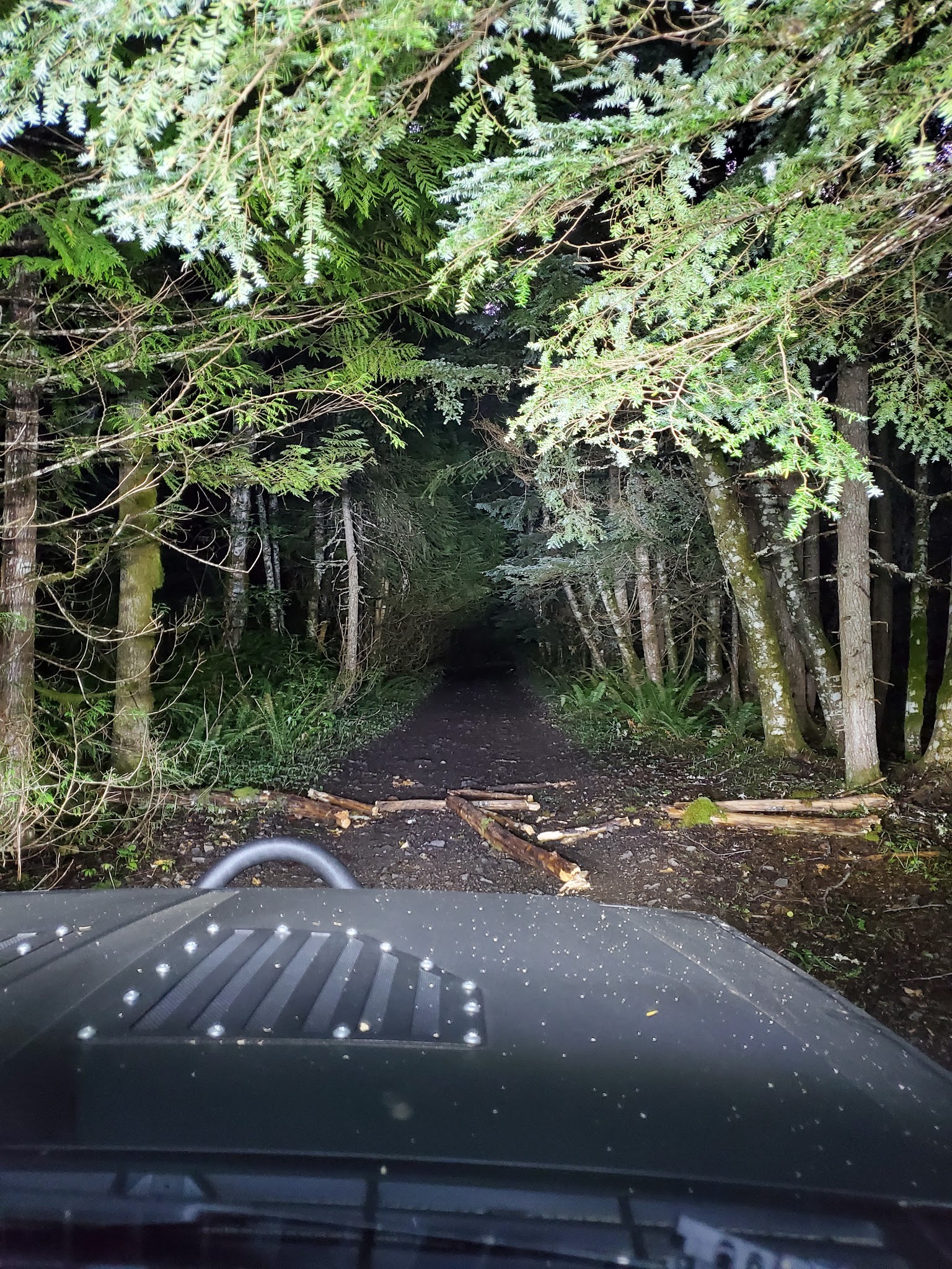 Evans Creek Campground