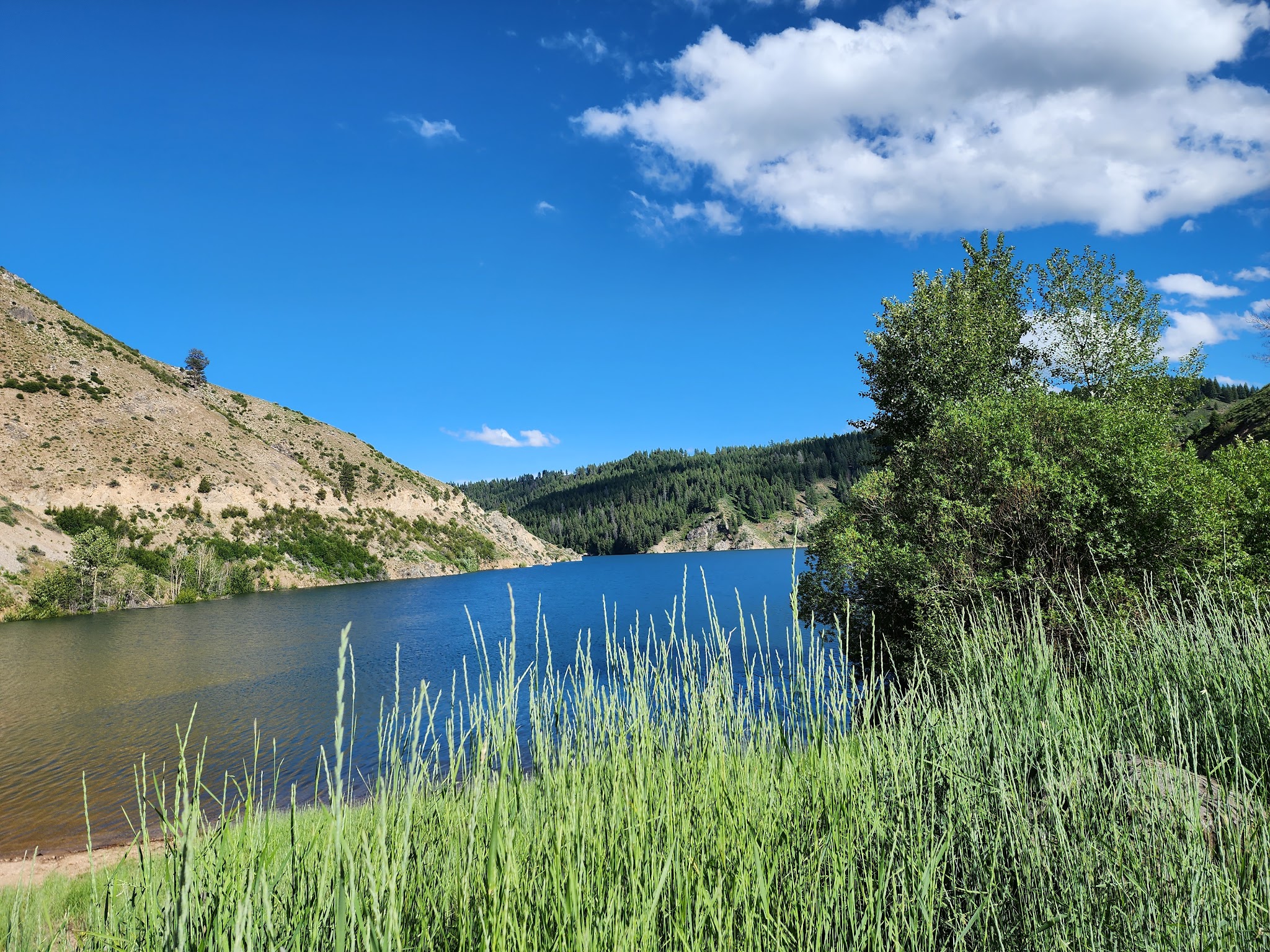 Evans Creek Campground