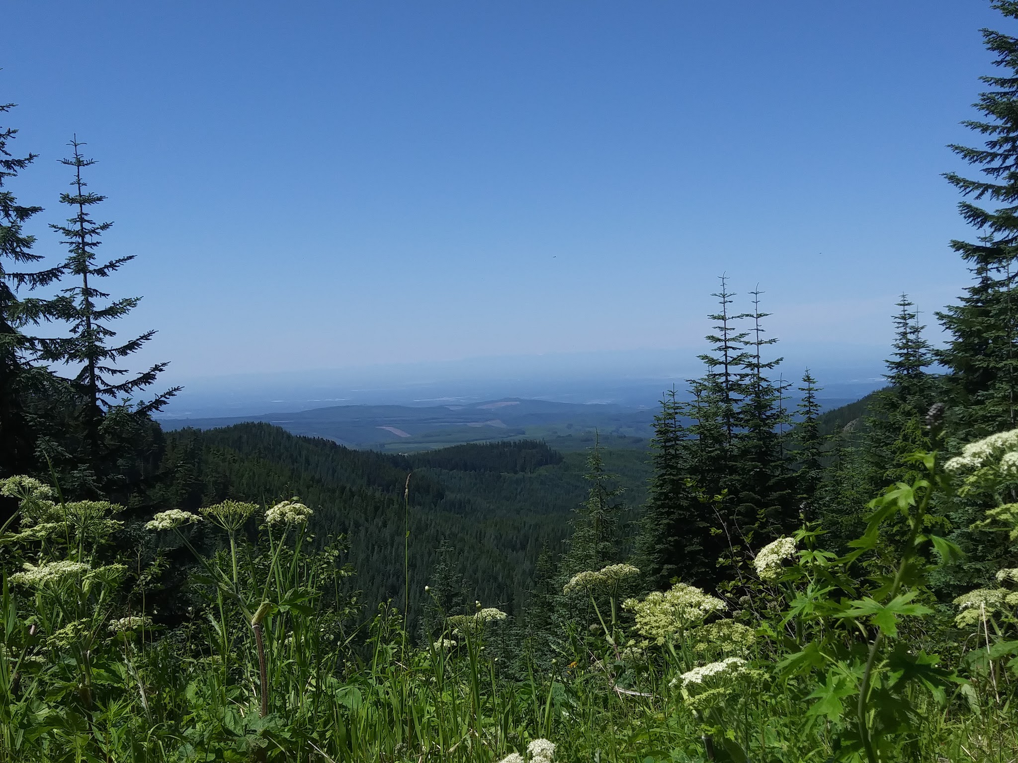 Evans Creek Campground