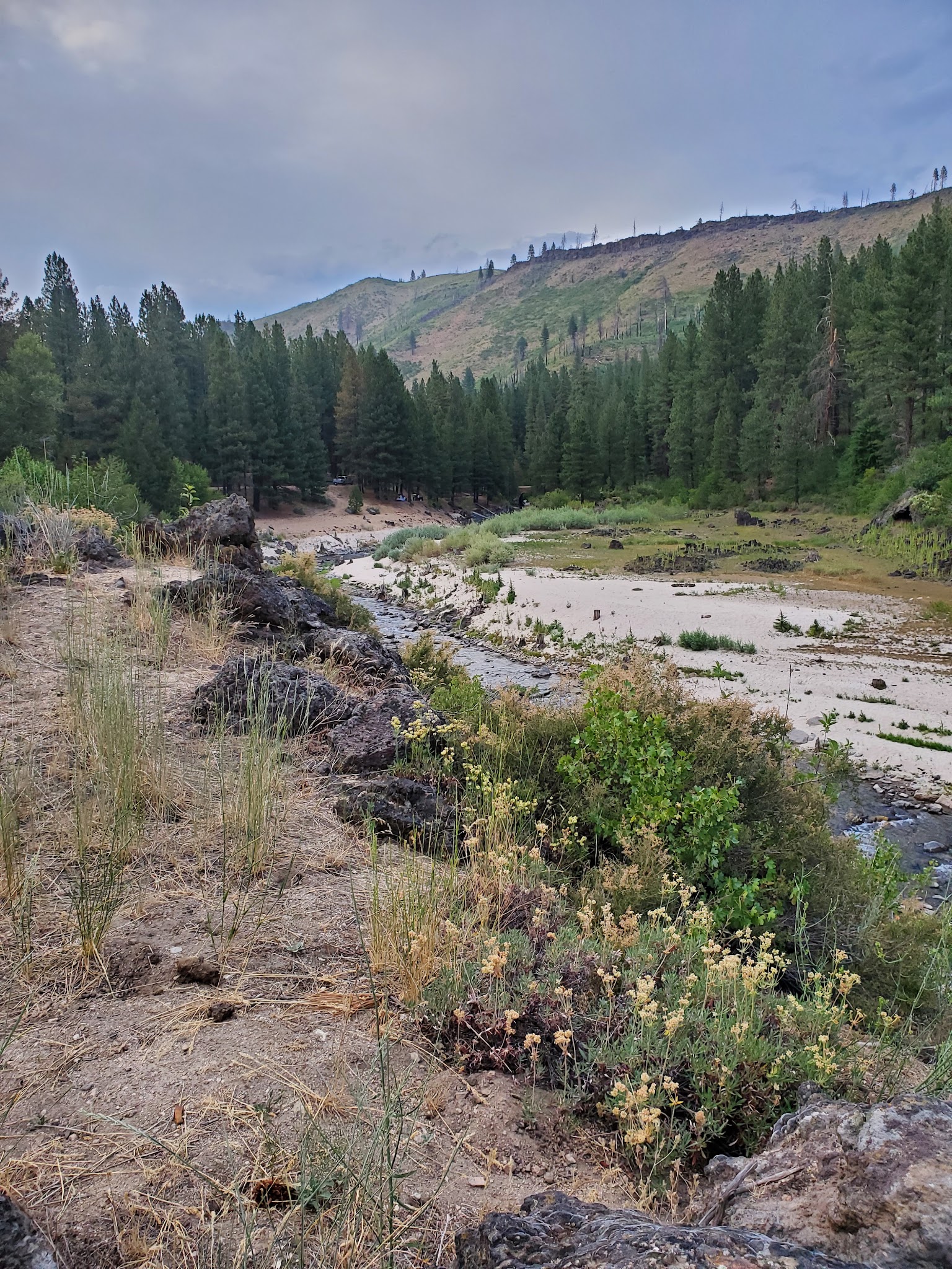 Evans Creek Campground