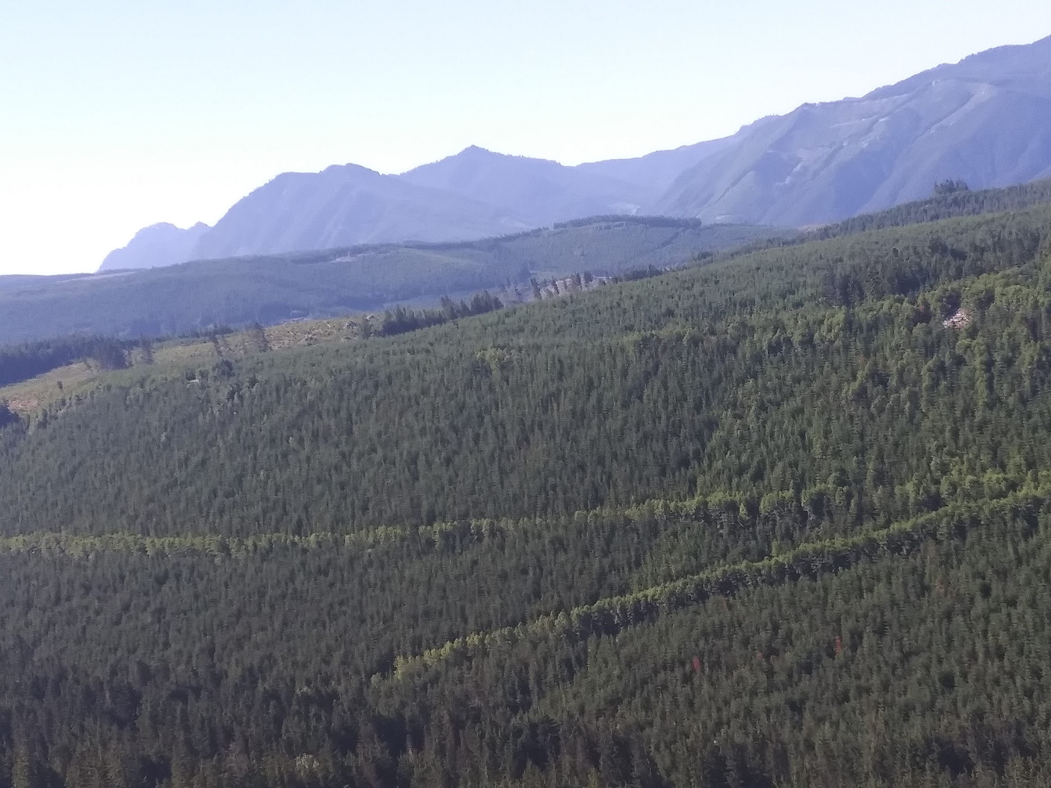 Evans Creek Campground