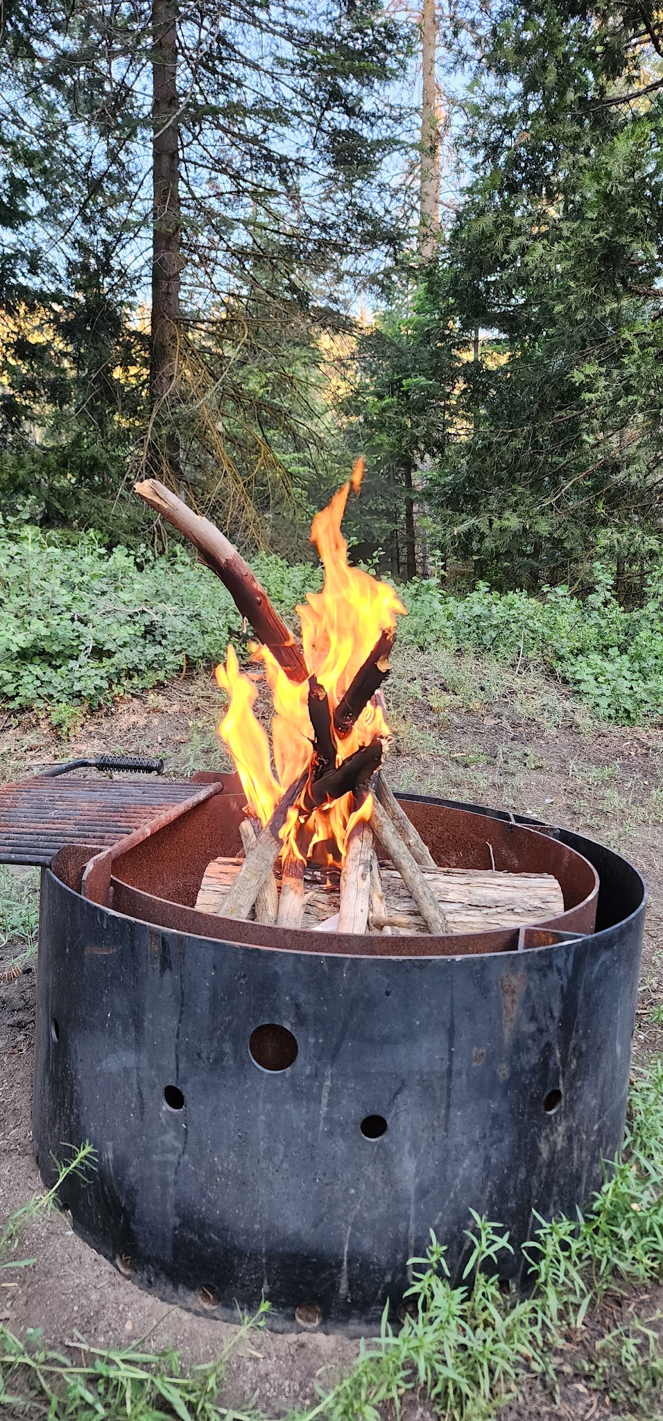Evans Flat Campground