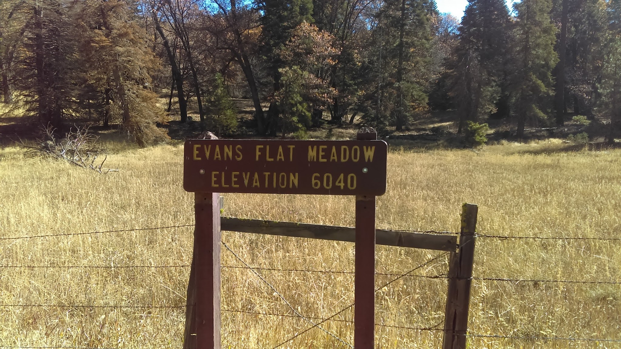 Evans Flat Campground