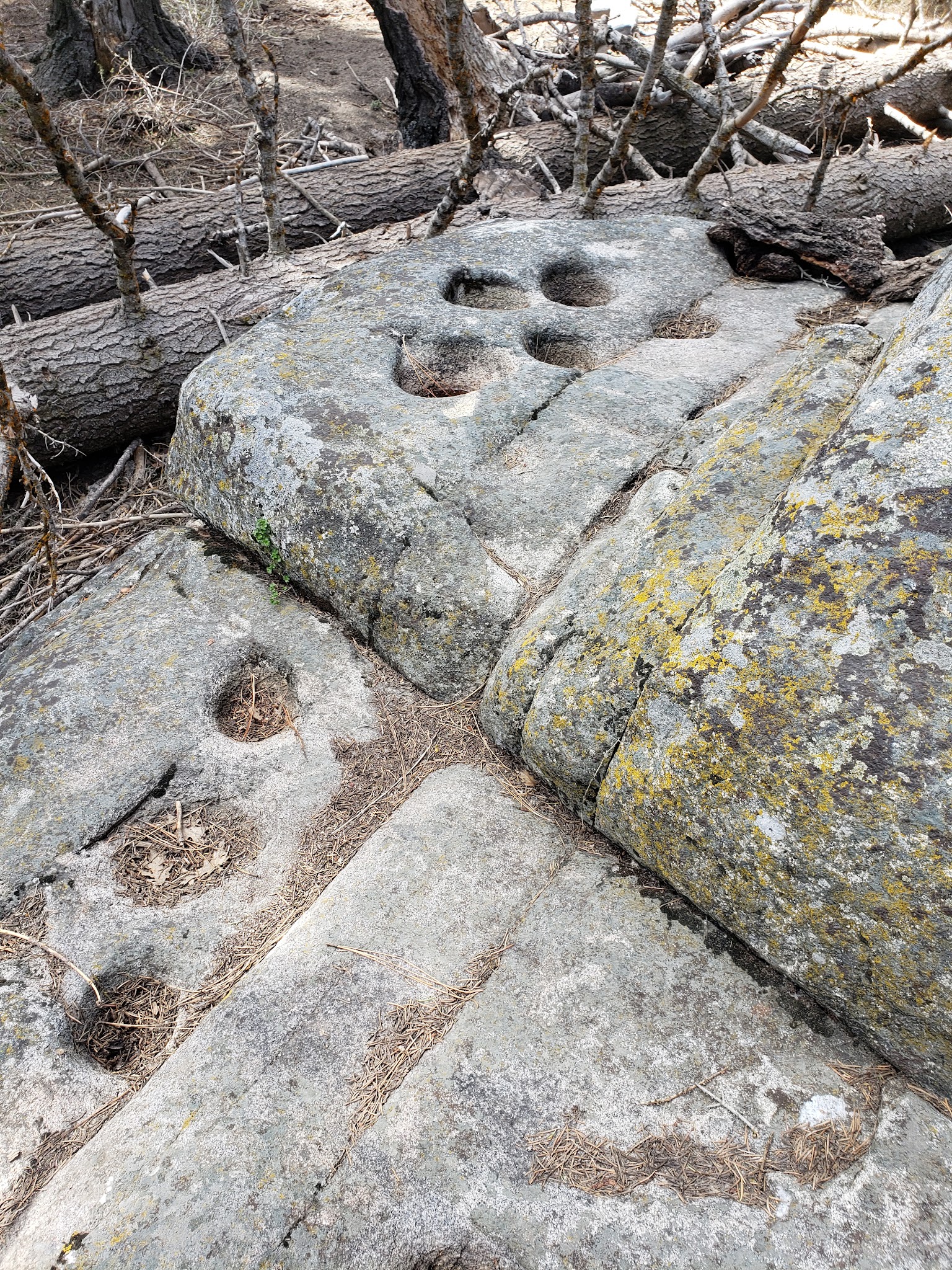 Evans Flat Campground