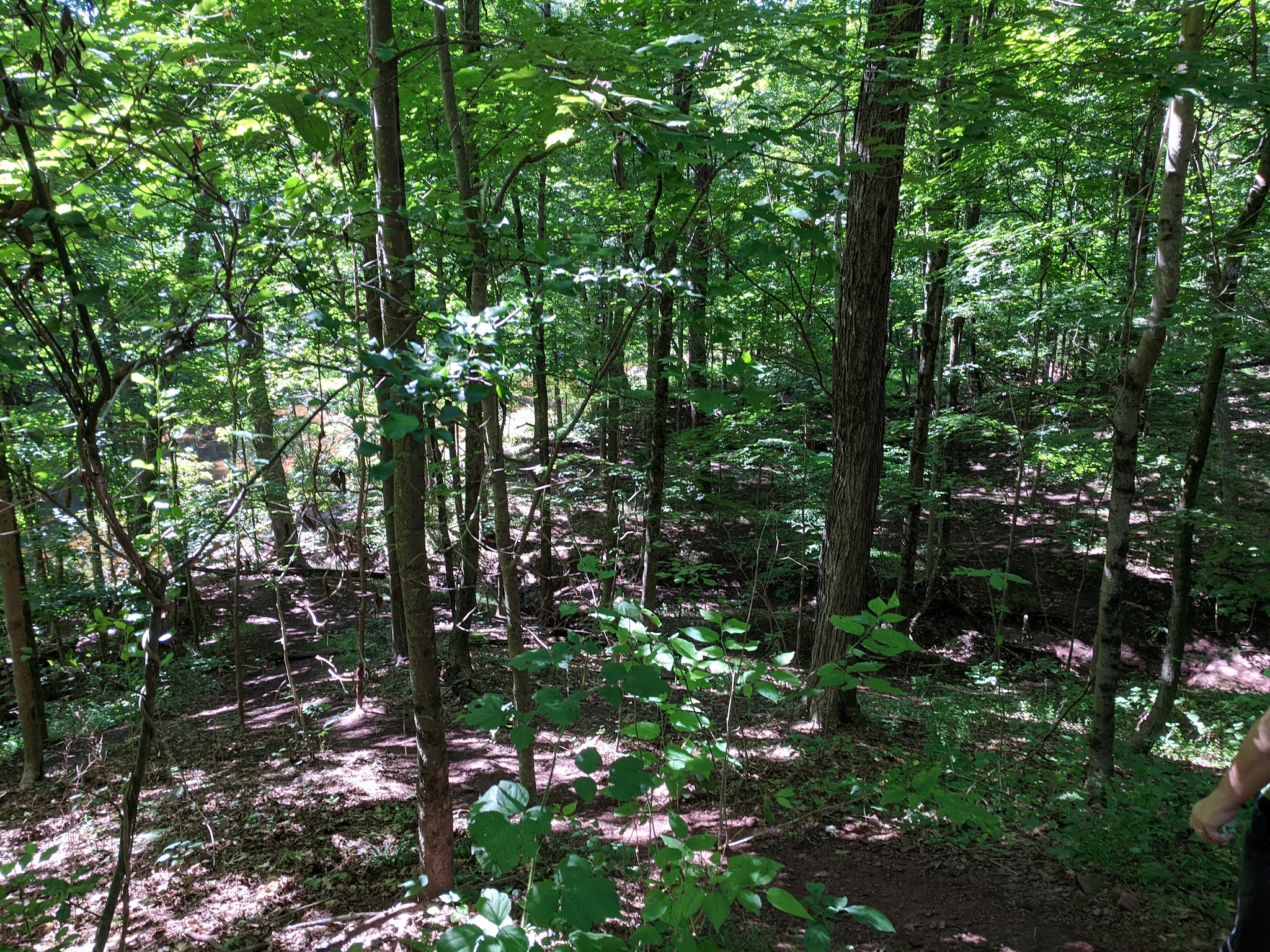 Evansburg State Park