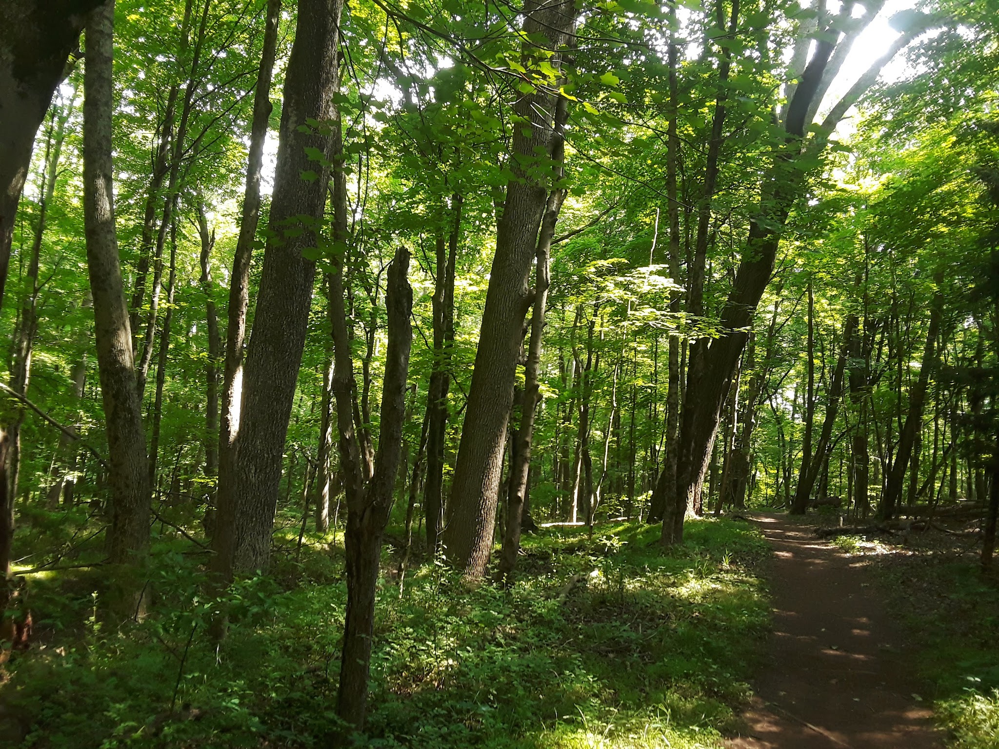 Evansburg State Park
