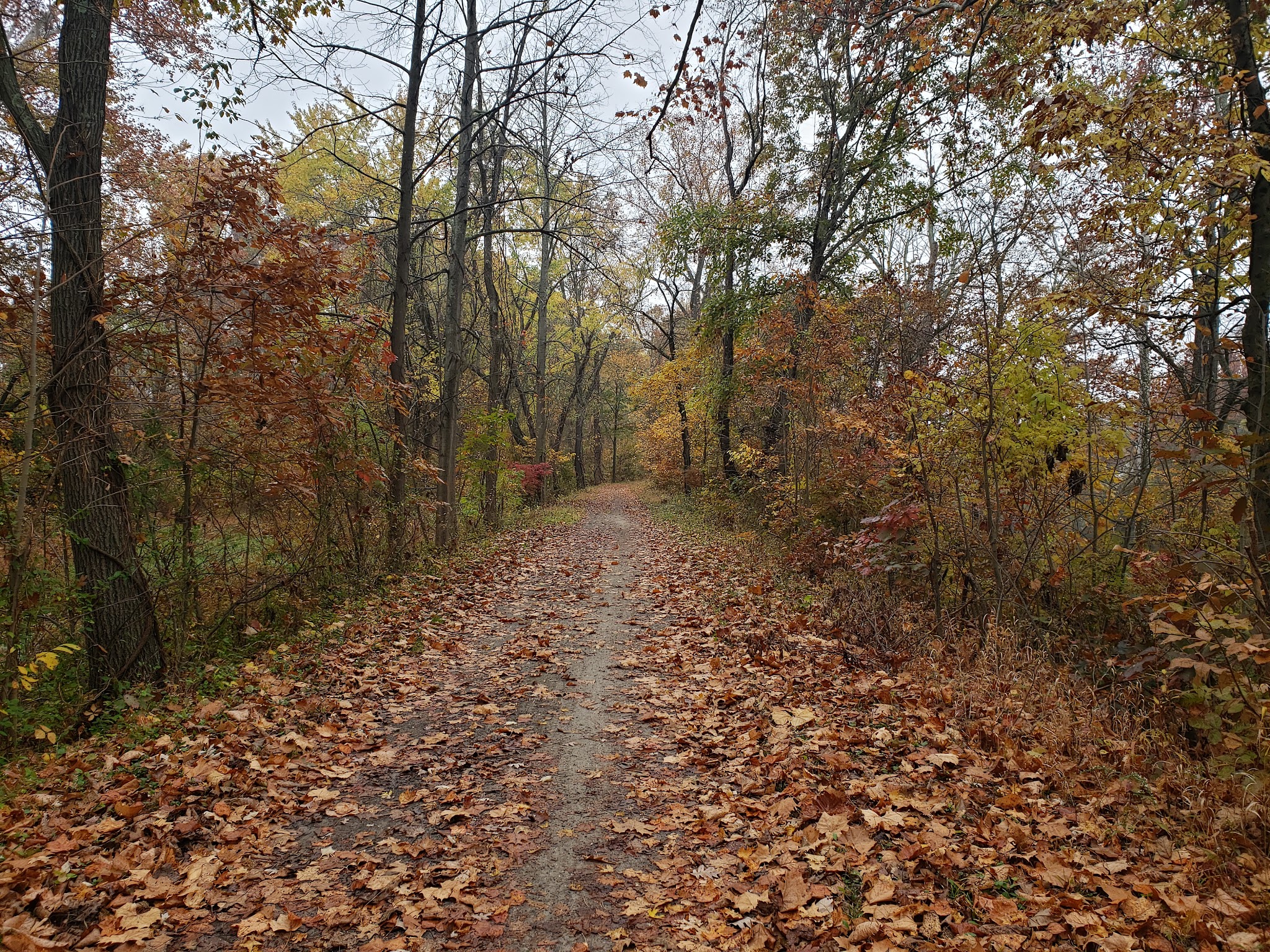 Evitts Creek Hiker-Biker Campsite