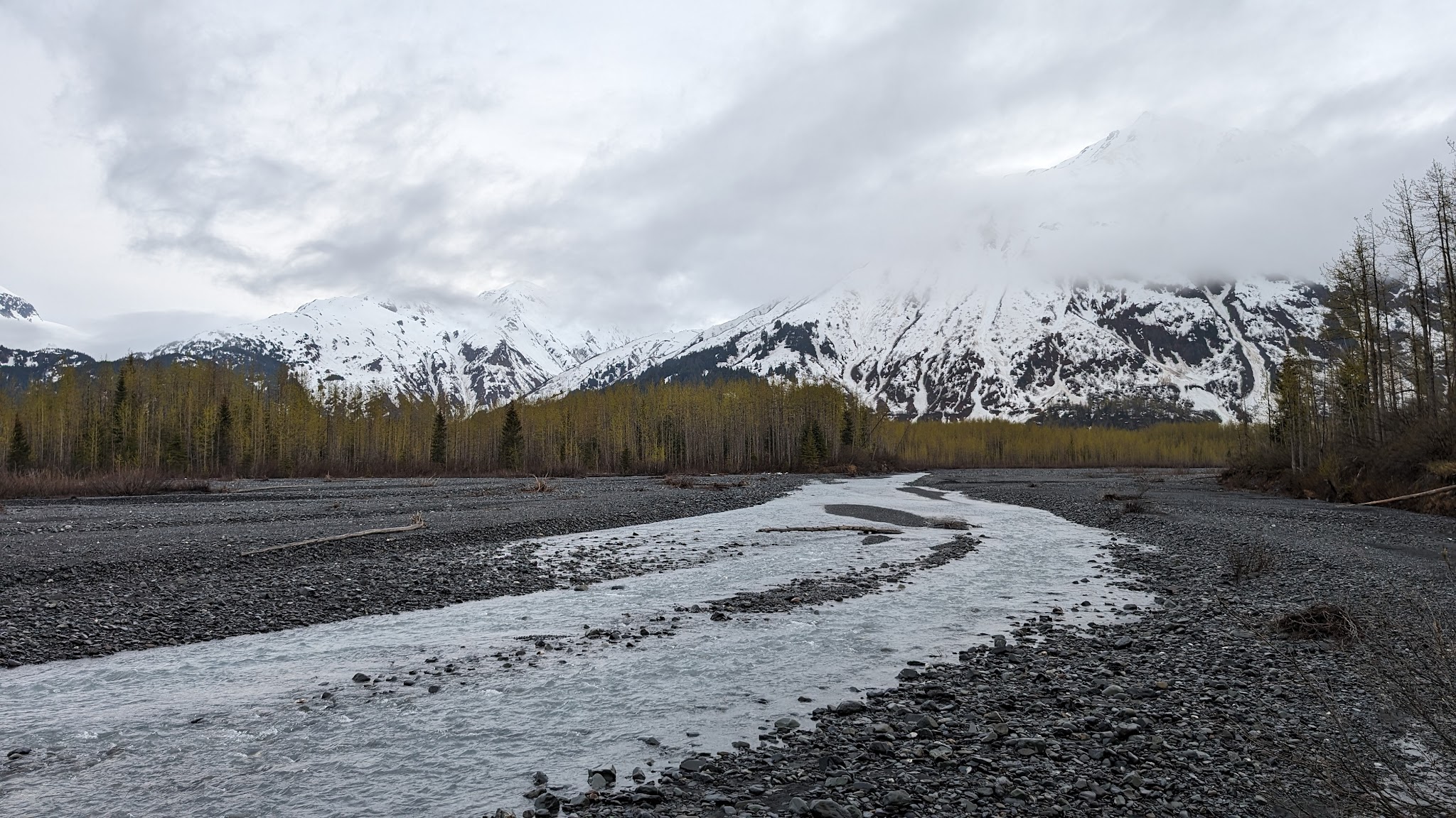 Exit Glacier Campground