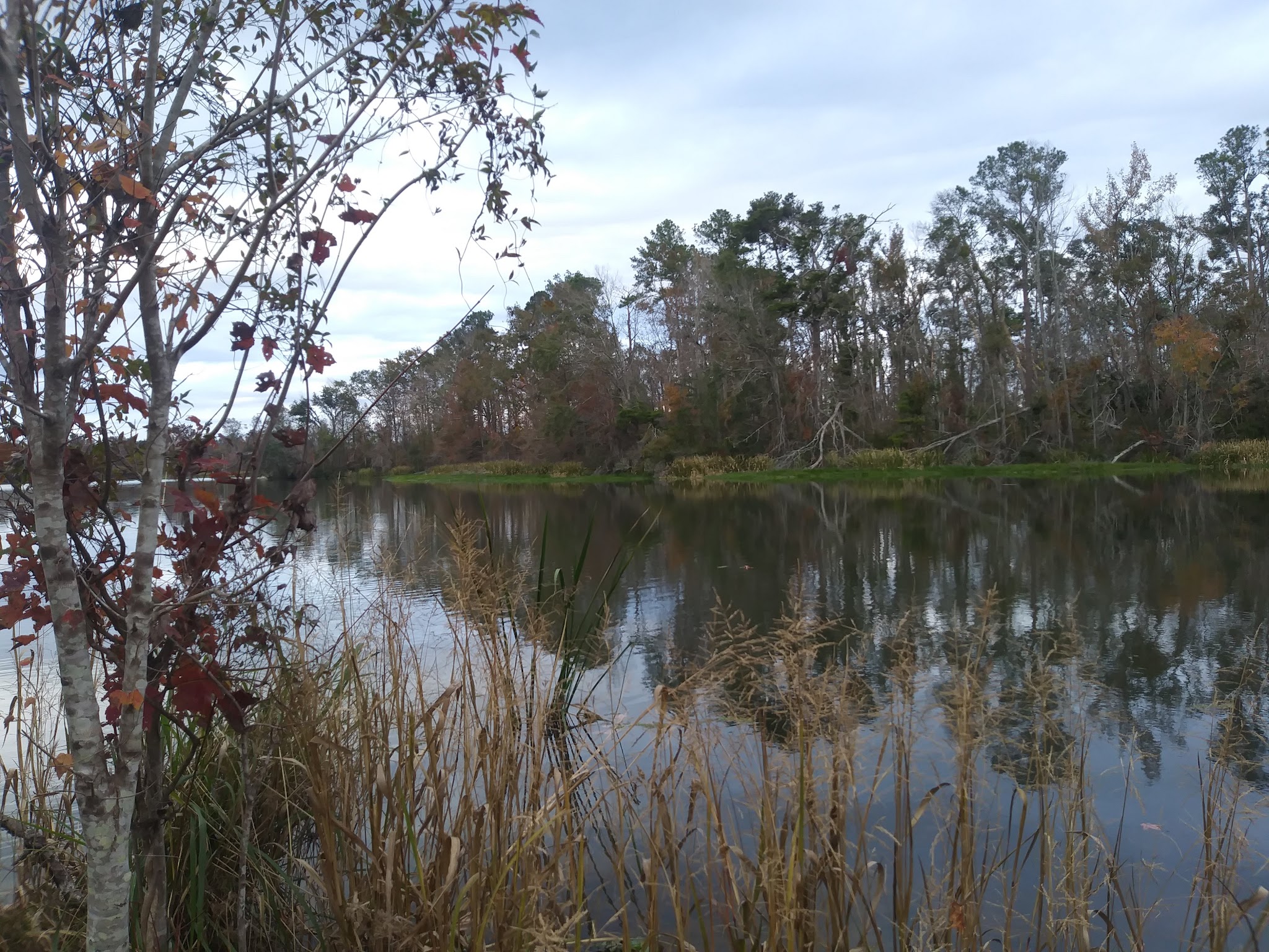 Faceville Landing Park 