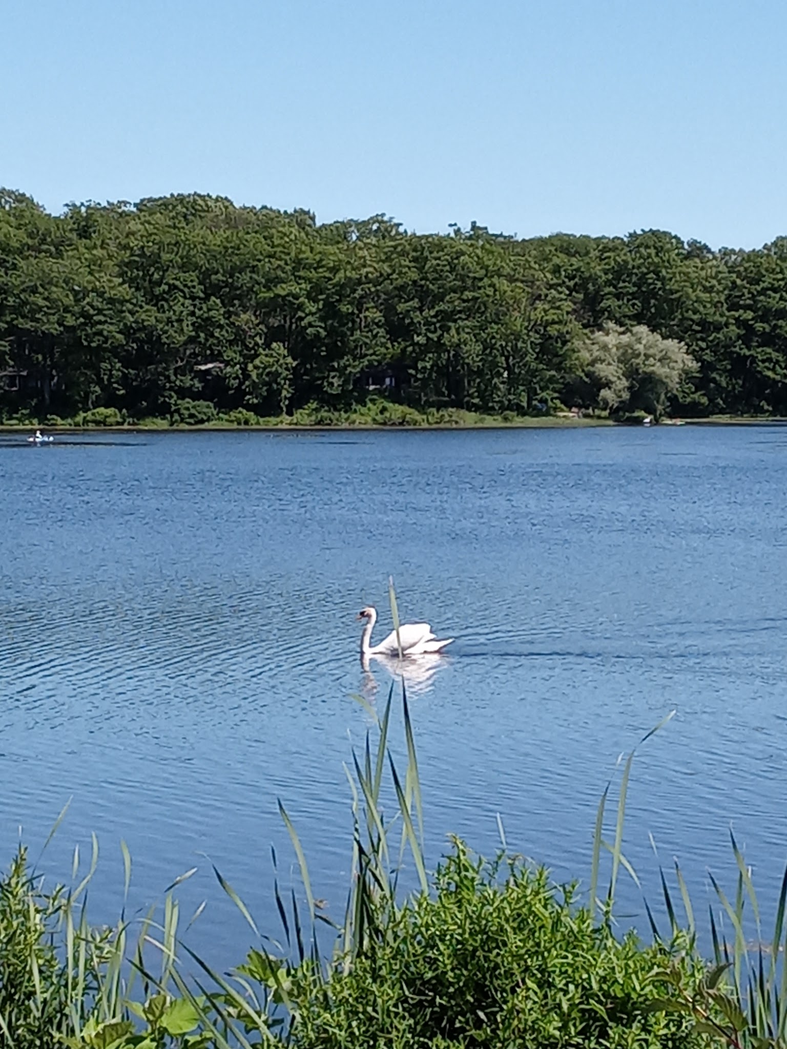 Fair Haven Beach State Park