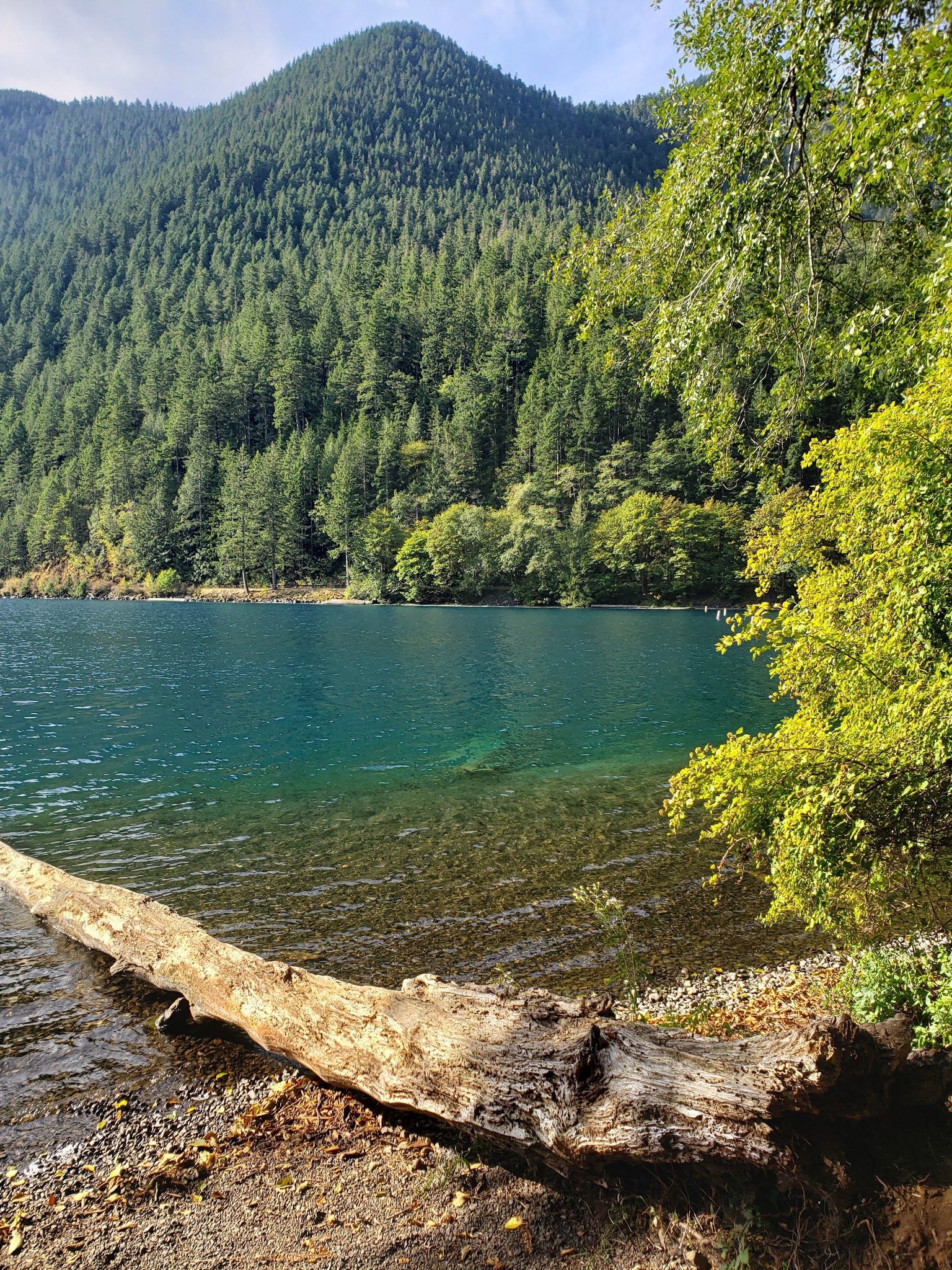 Fairholme Campground