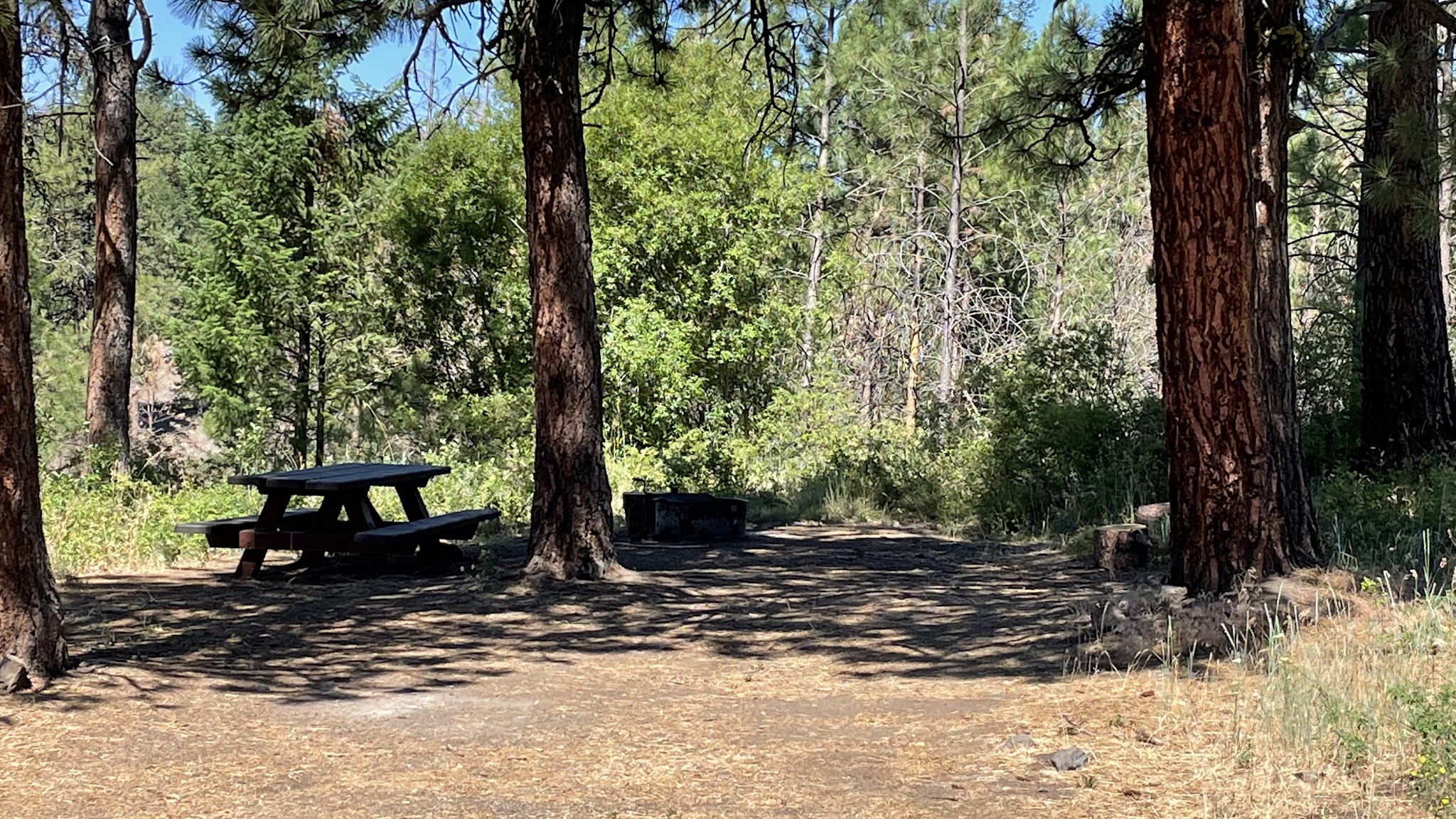 Fairview Campground