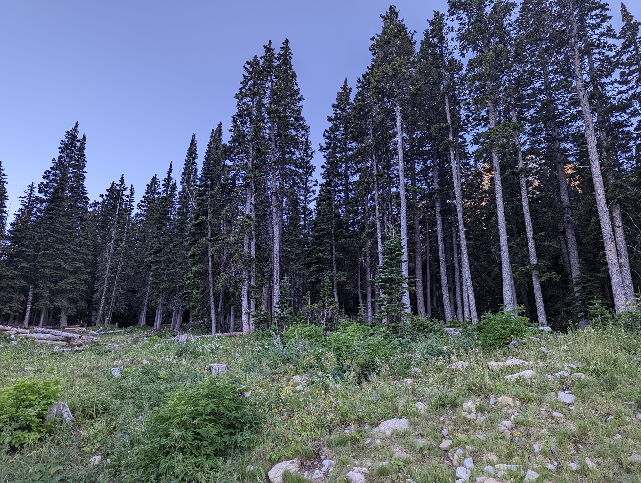 Fairy Lake Campground