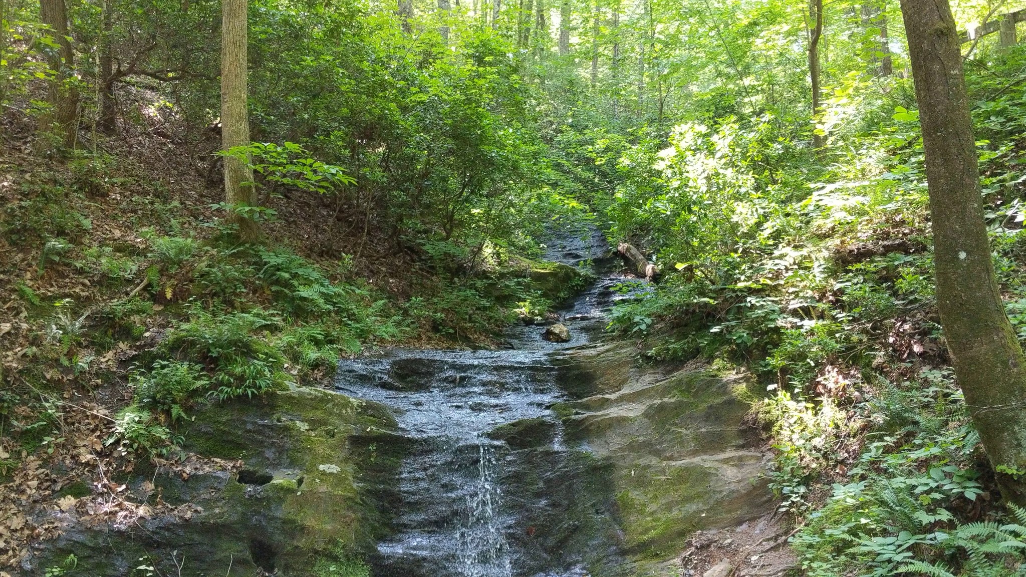 Yellow E/W Campground