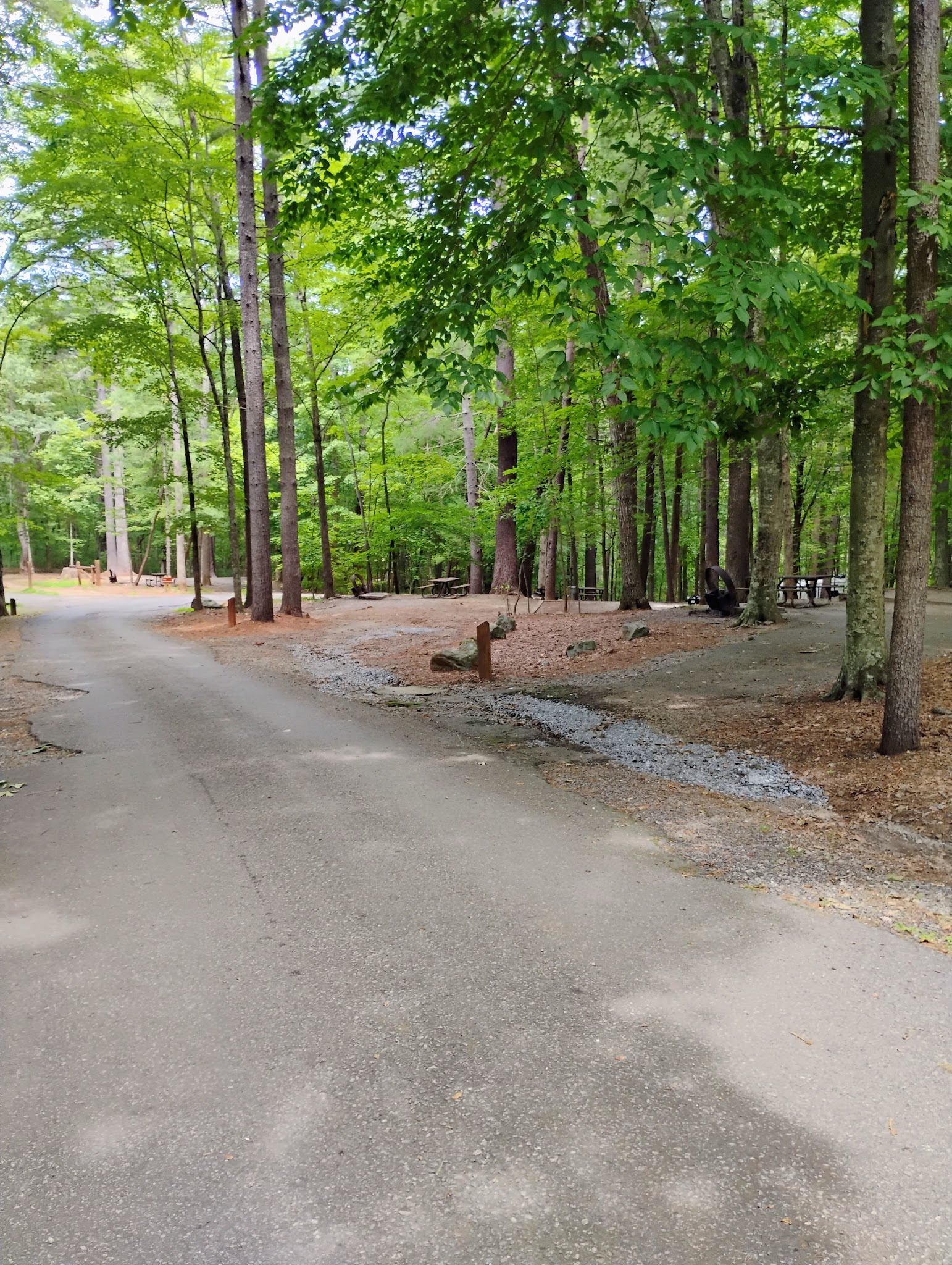 Yellow E/W Campground