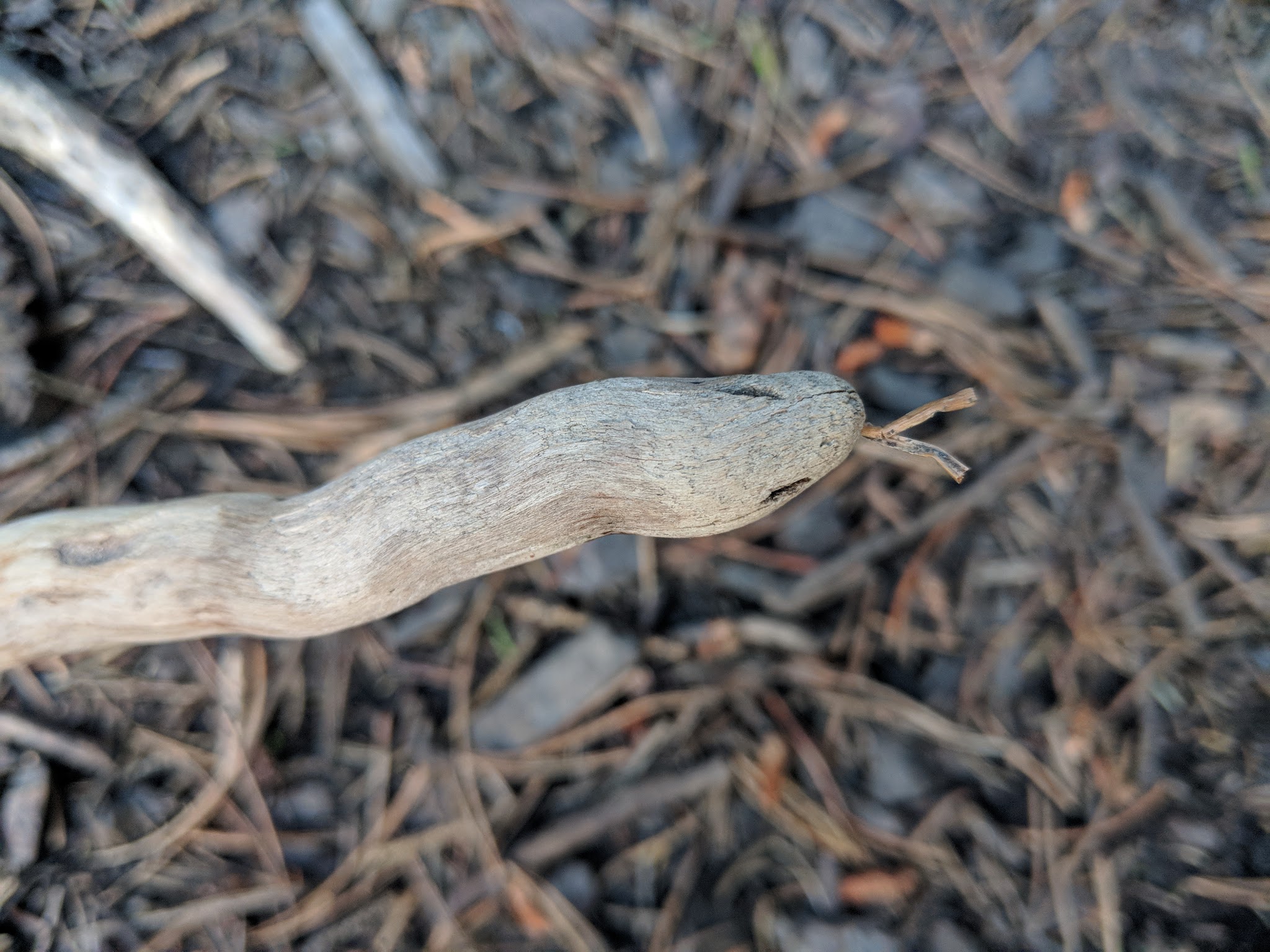 Falls Creek Campground