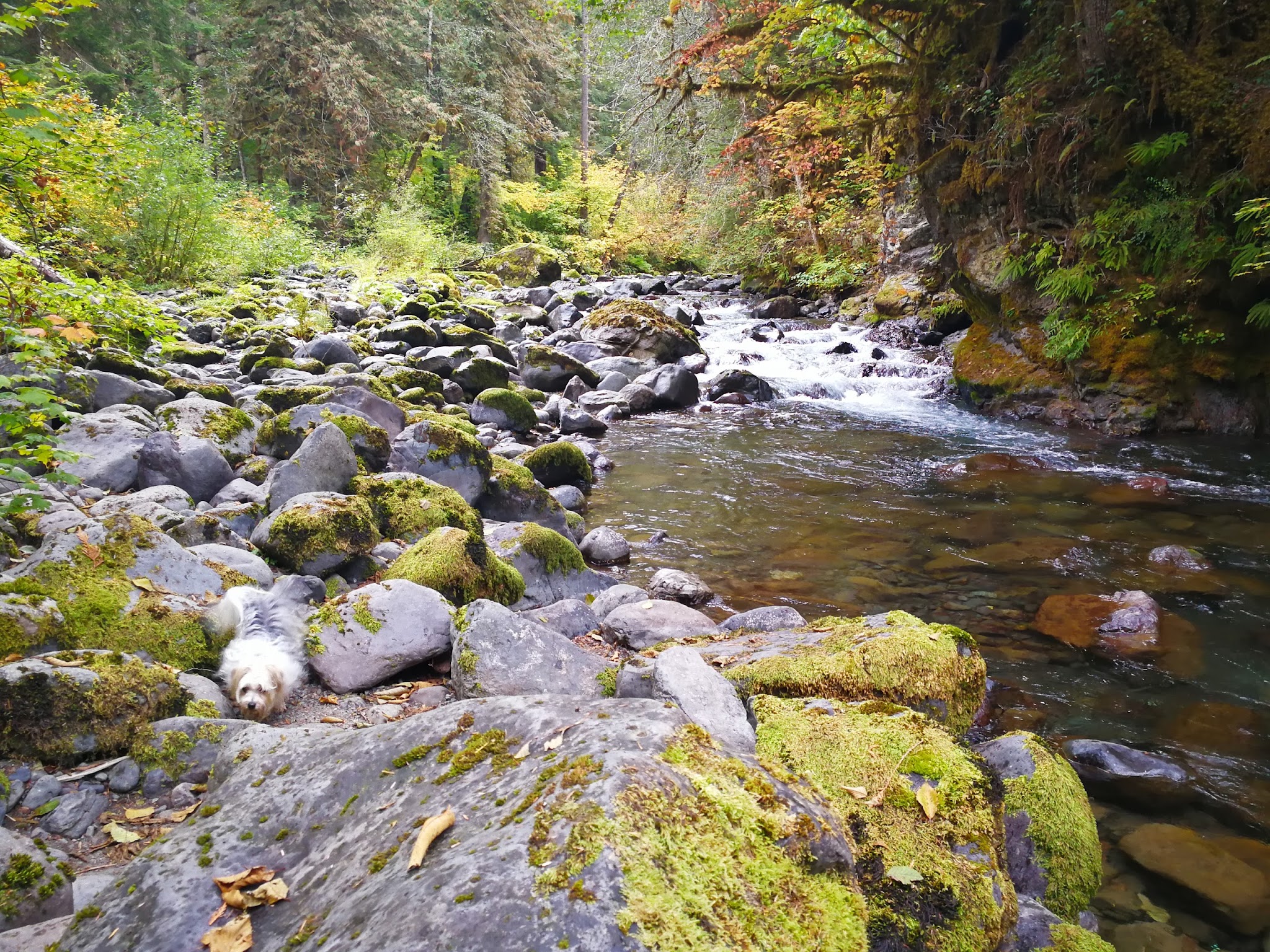Falls View Campground