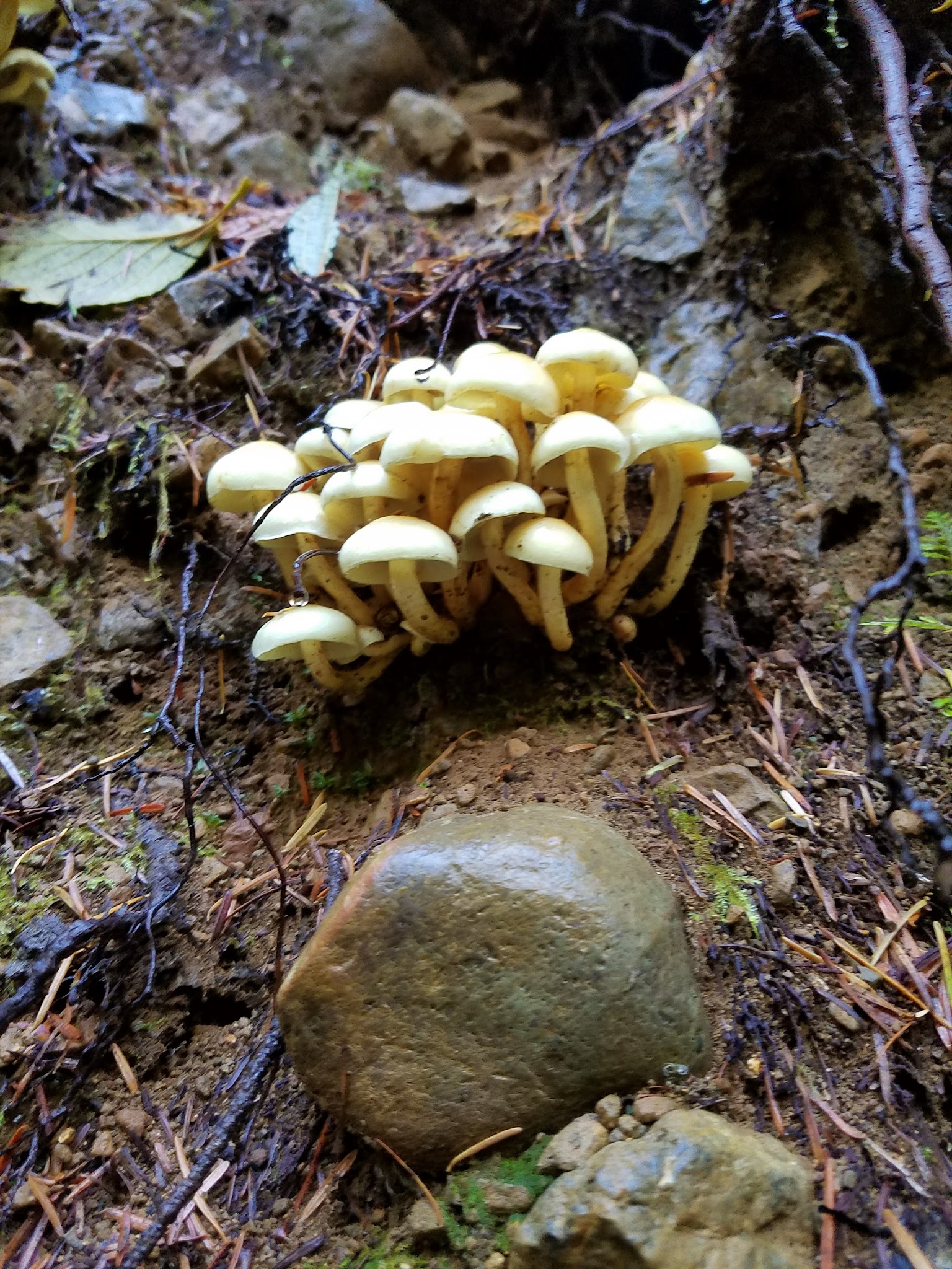 Falls View Campground