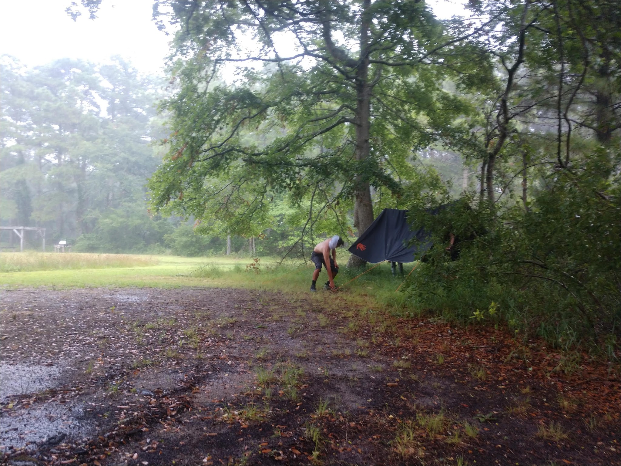 False Cape Oceanside Campground