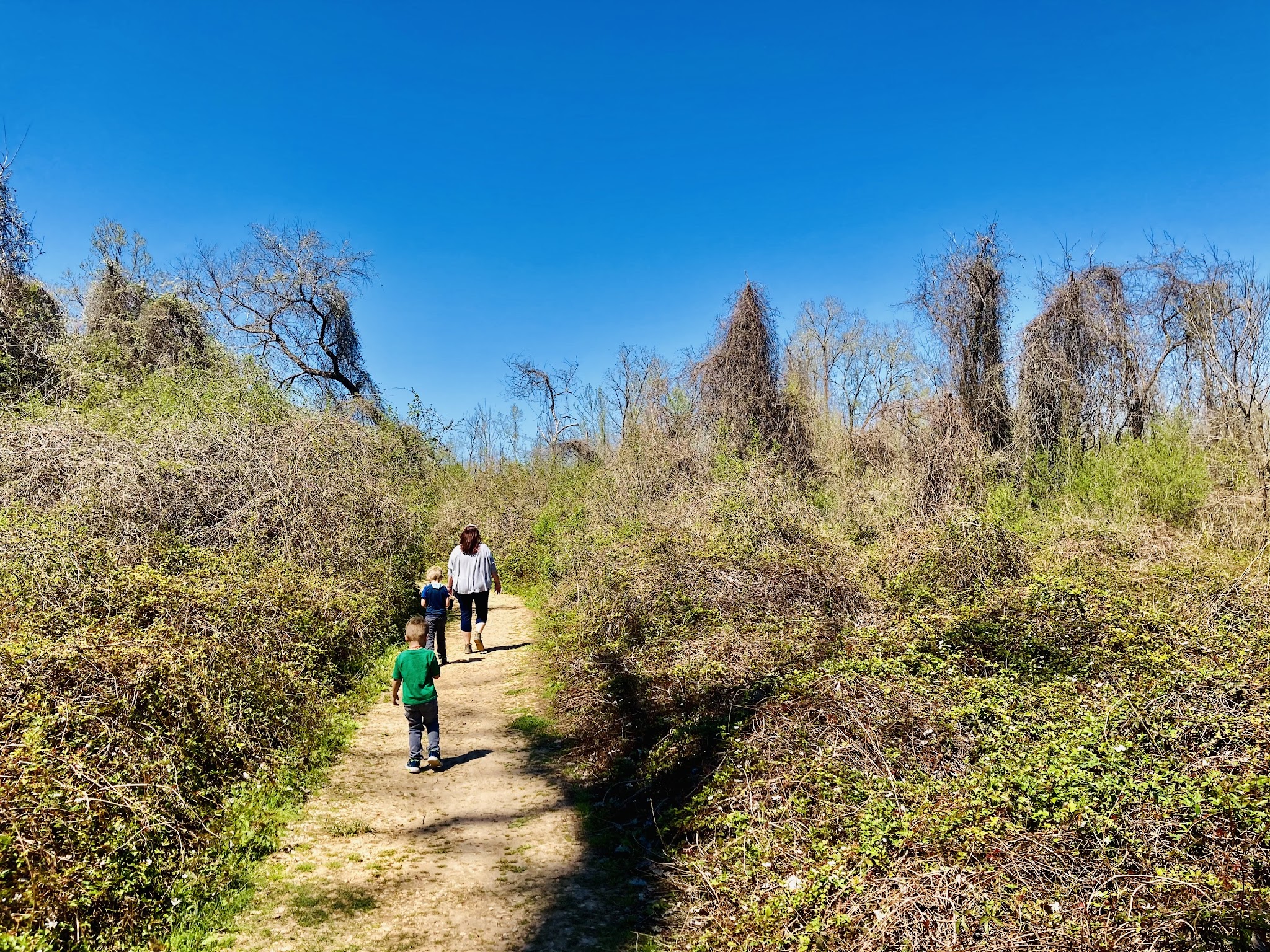 Stephen F. Austin State Park
