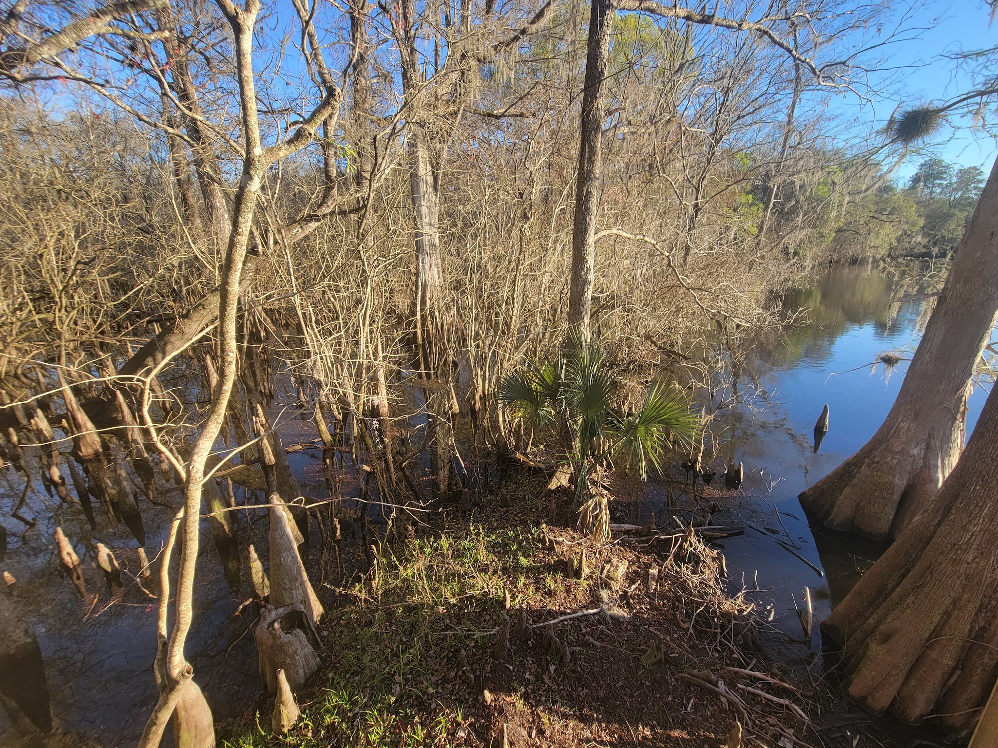 Fanning Springs State Park Campground