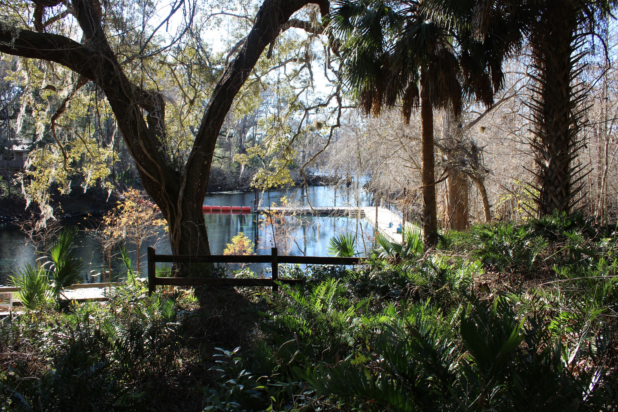 Fanning Springs State Park Campground