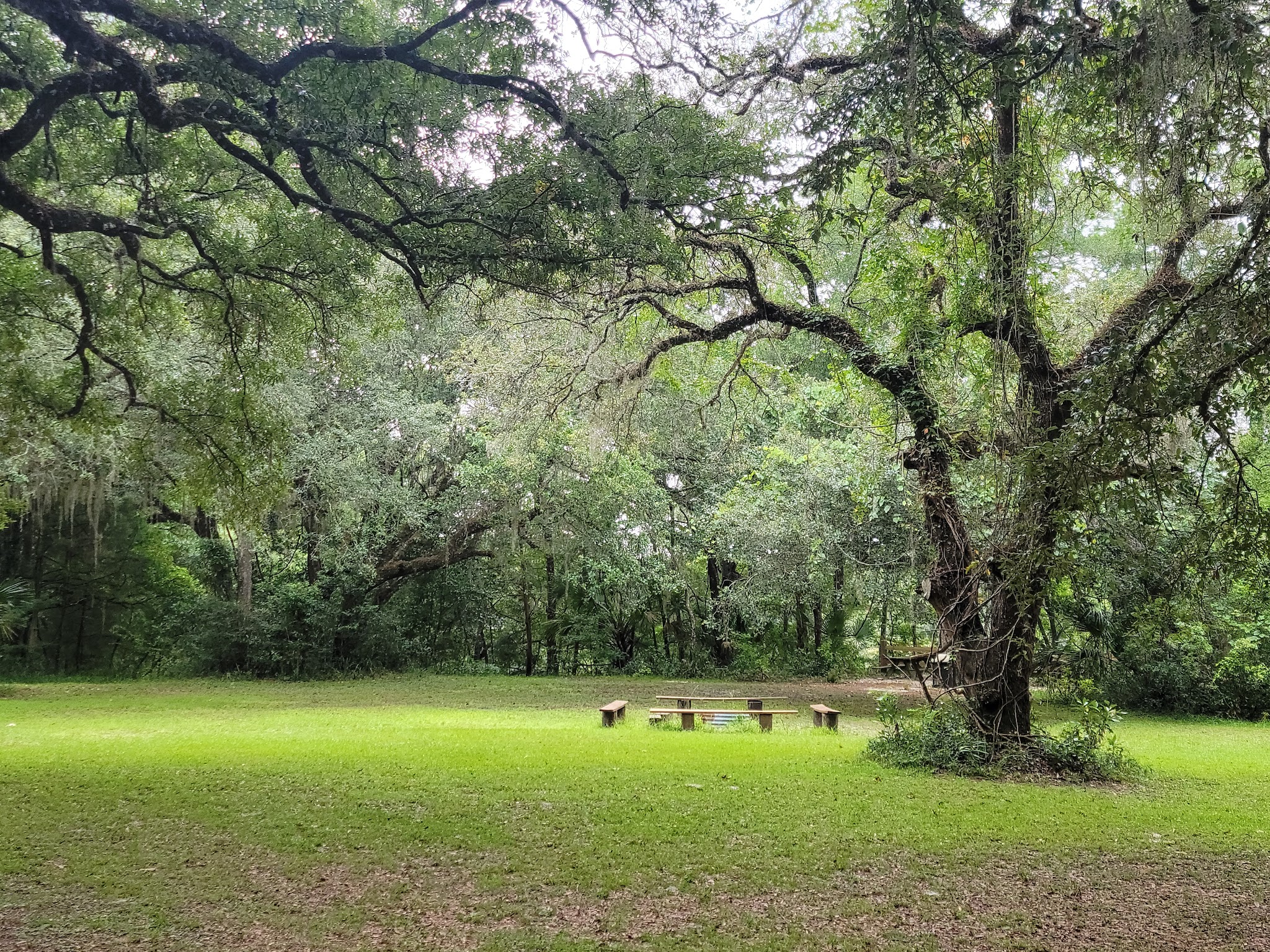 Fanning Springs State Park Campground