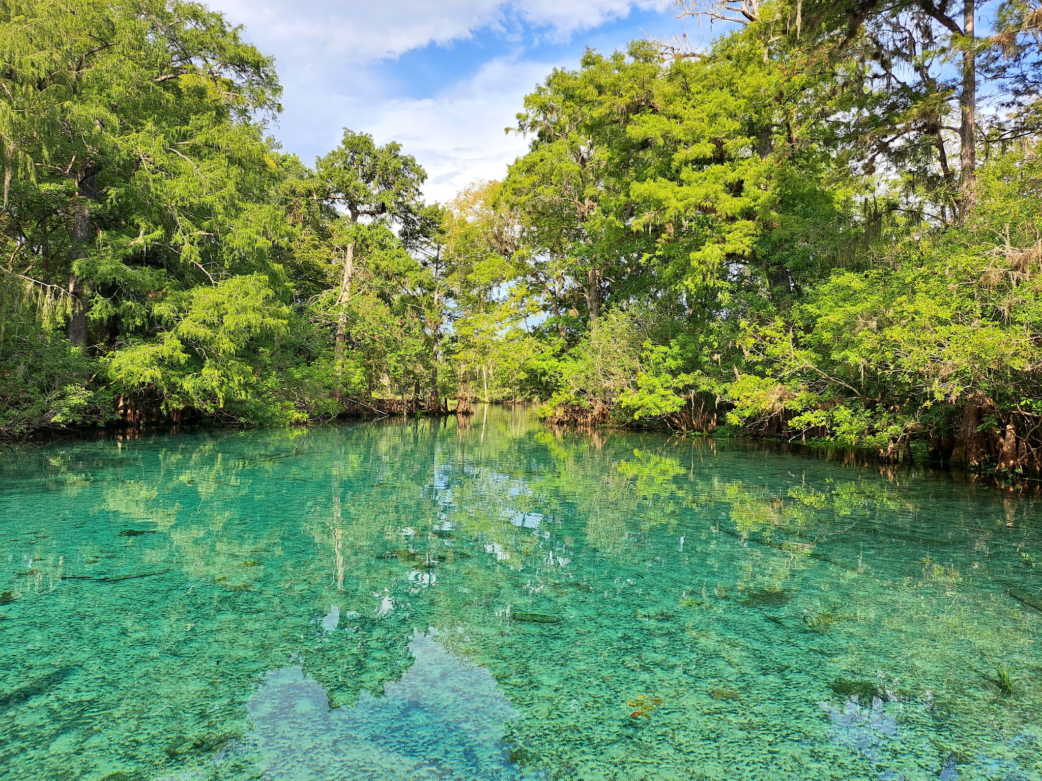 Fanning Springs State Park Campground
