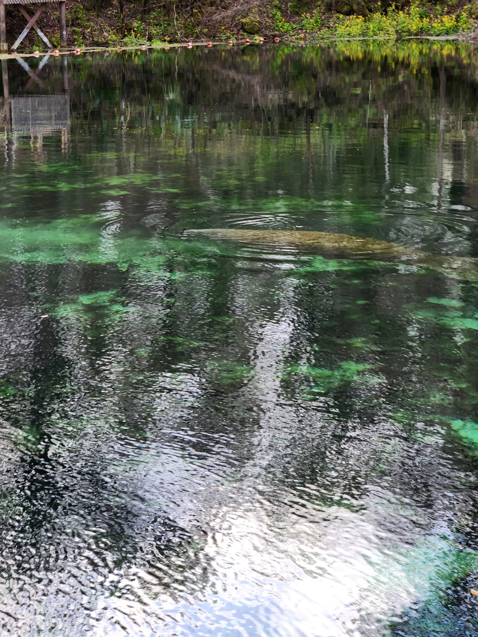 Fanning Springs State Park Campground