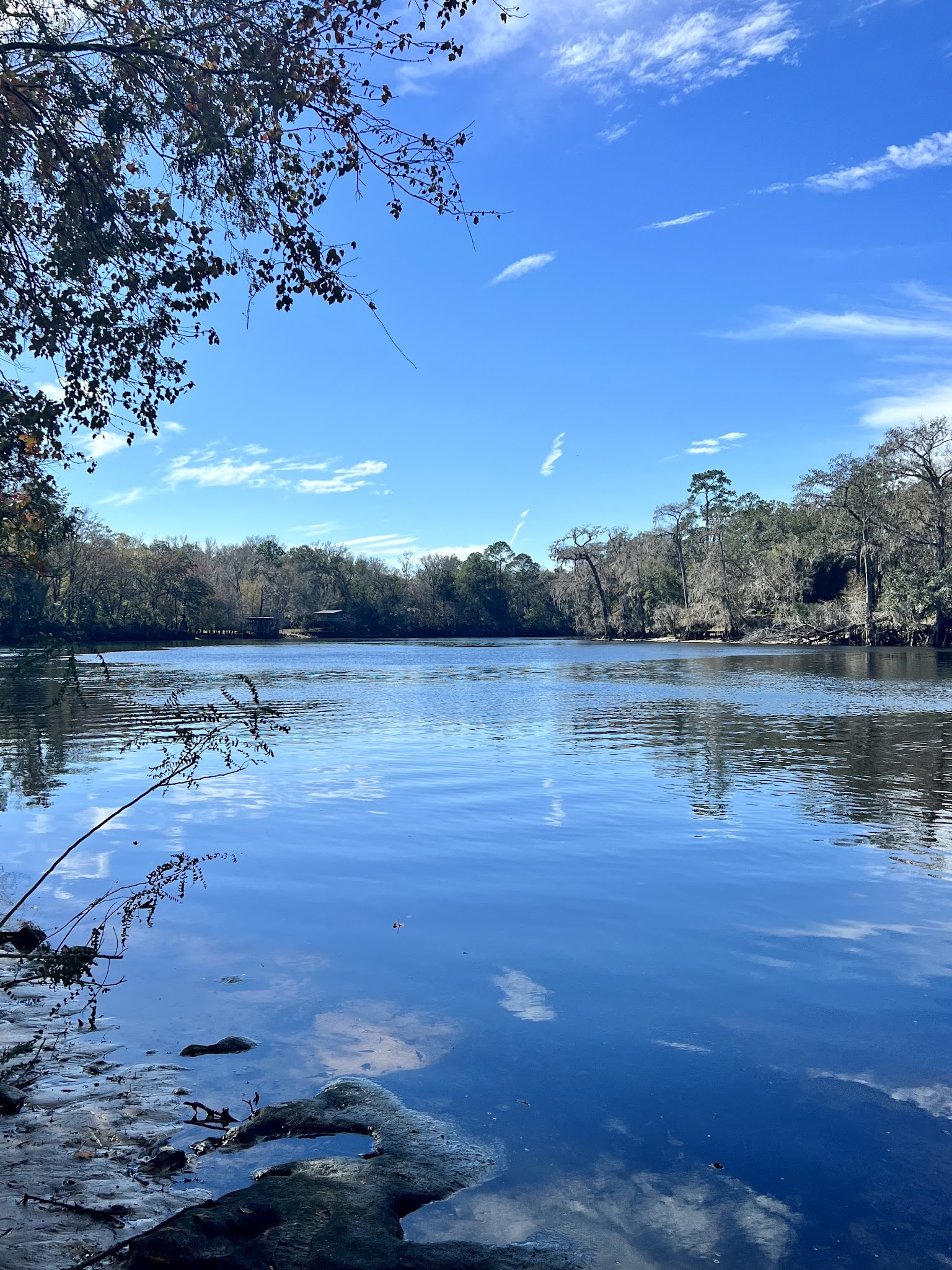 Fanning Springs State Park Campground