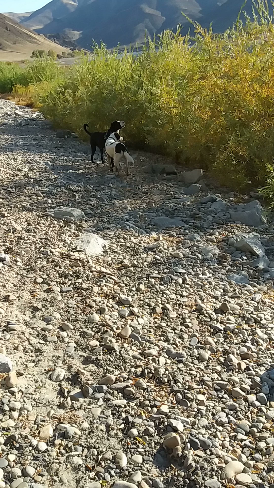 Farewell Bend State Recreation Area
