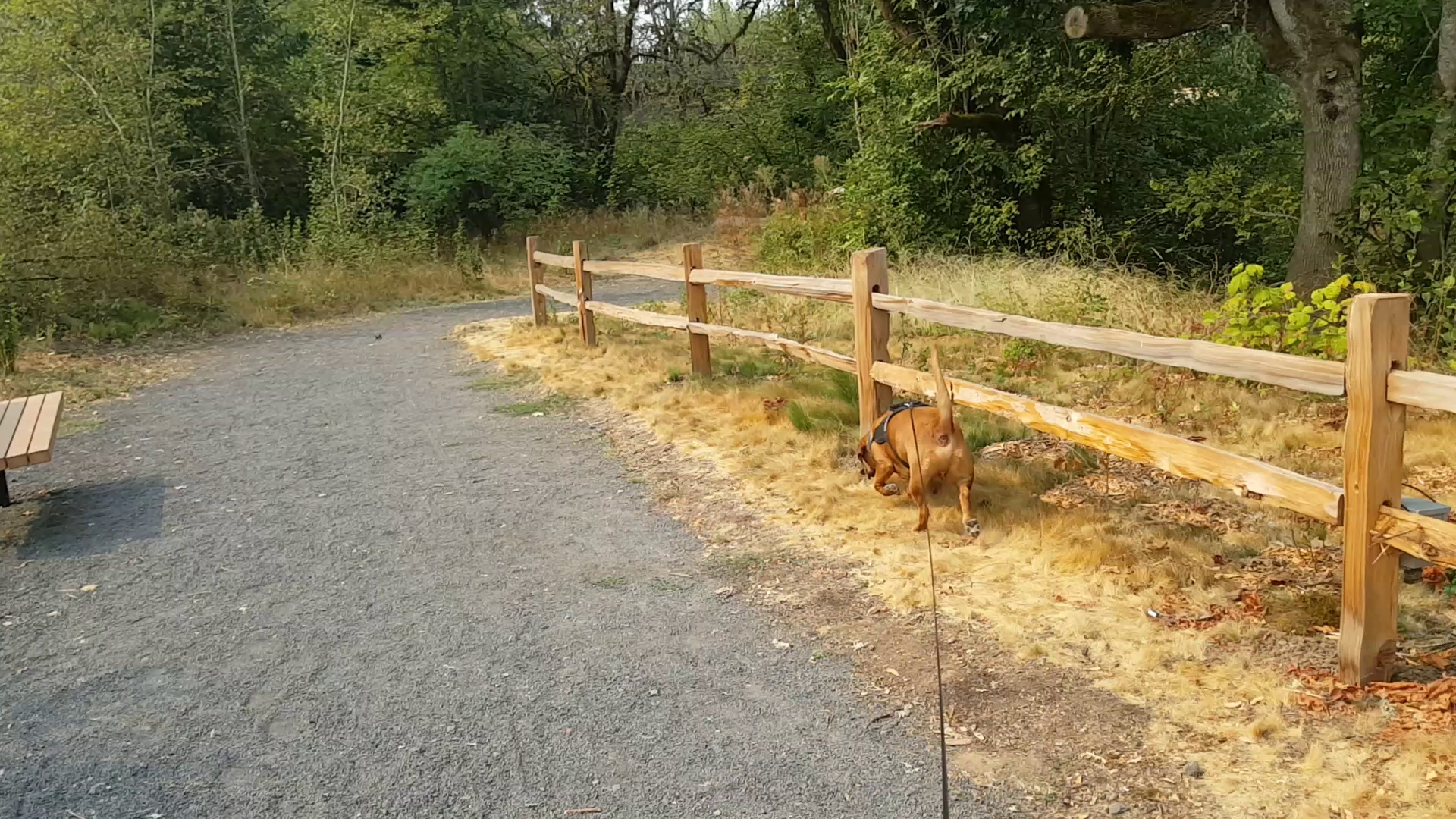 Farmington Paddle Launch Nature Park Sup Campground