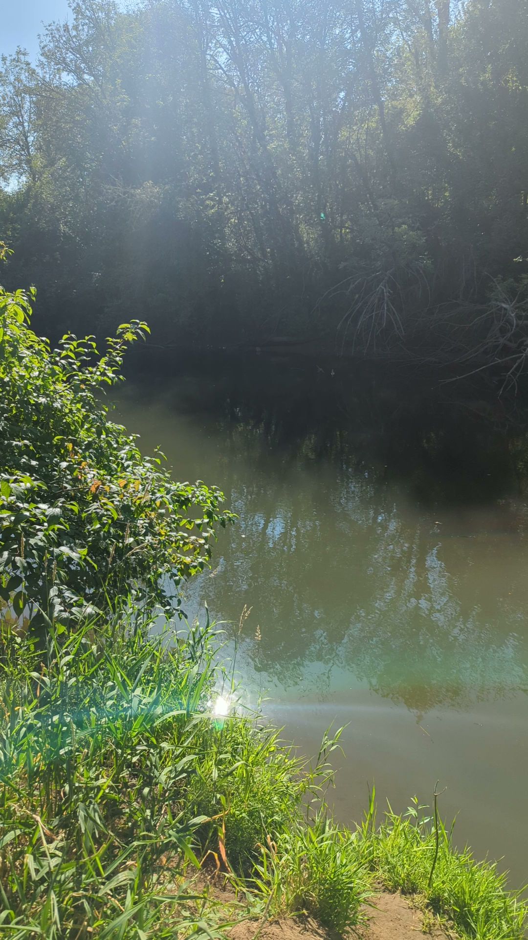 Farmington Paddle Launch Nature Park Sup Campground