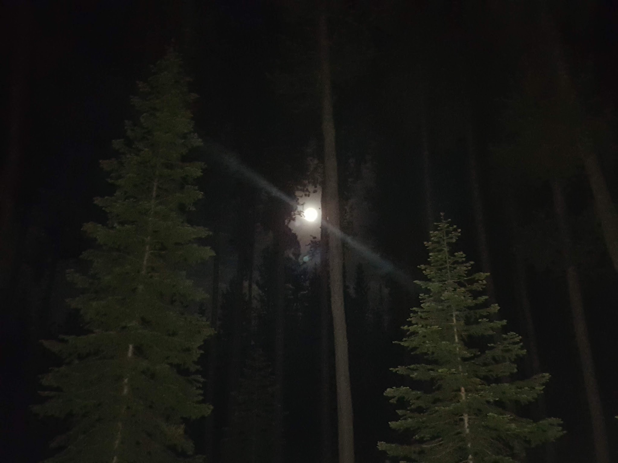 Father And Sons Campground