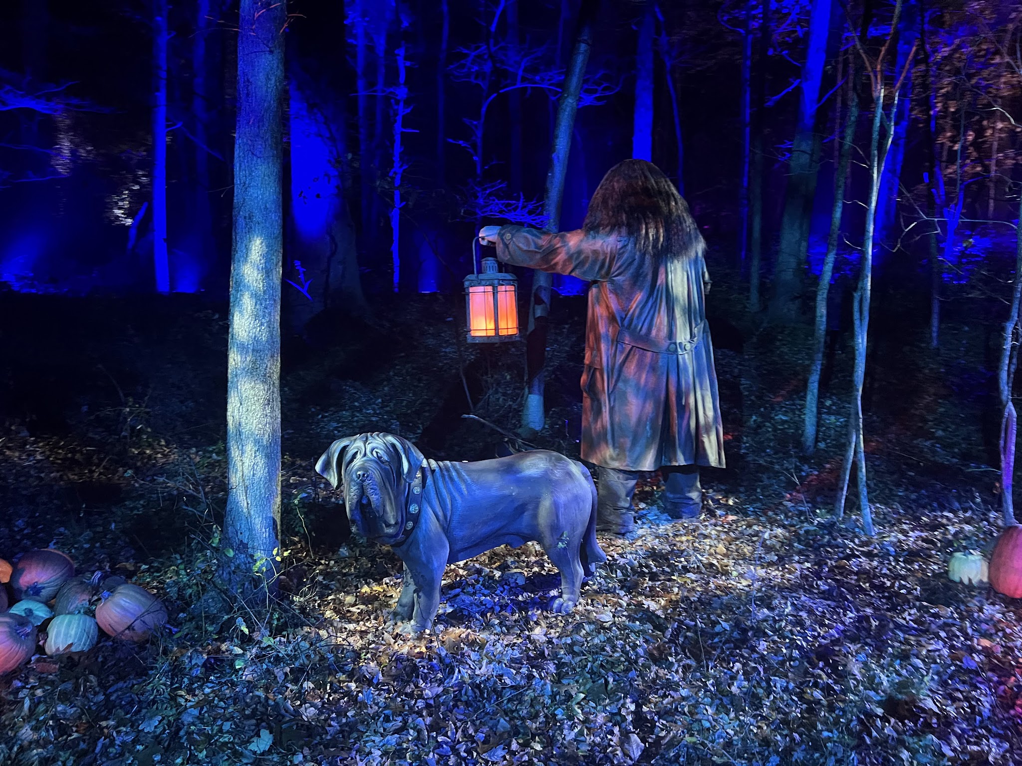 Franklin D. Roosevelt State Park