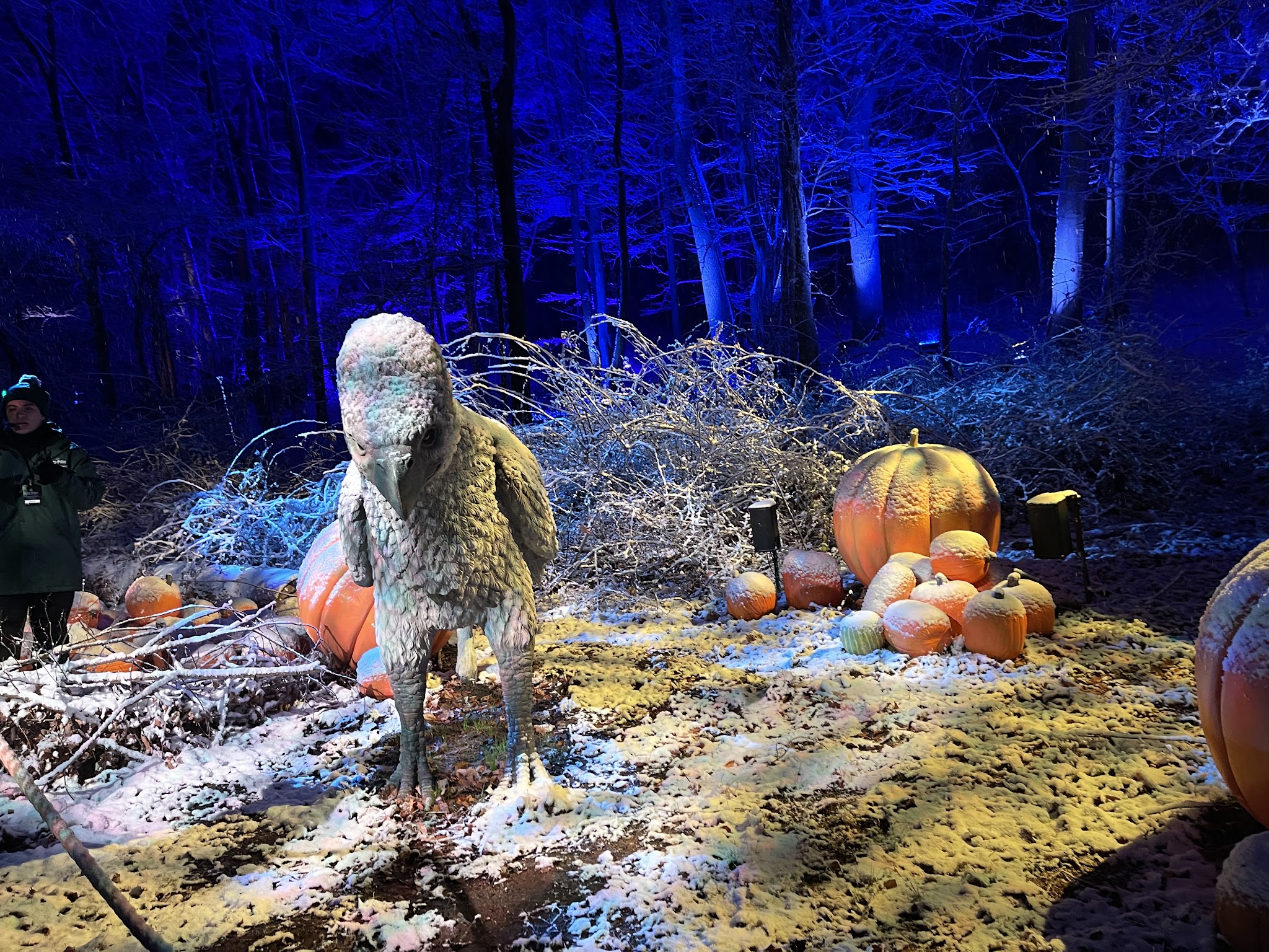 Franklin D. Roosevelt State Park