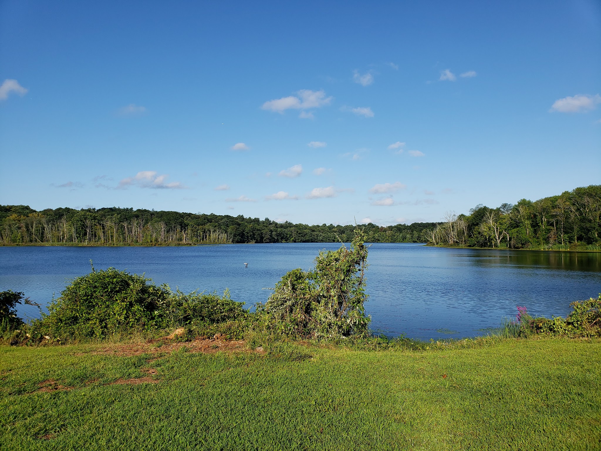 Franklin D. Roosevelt State Park