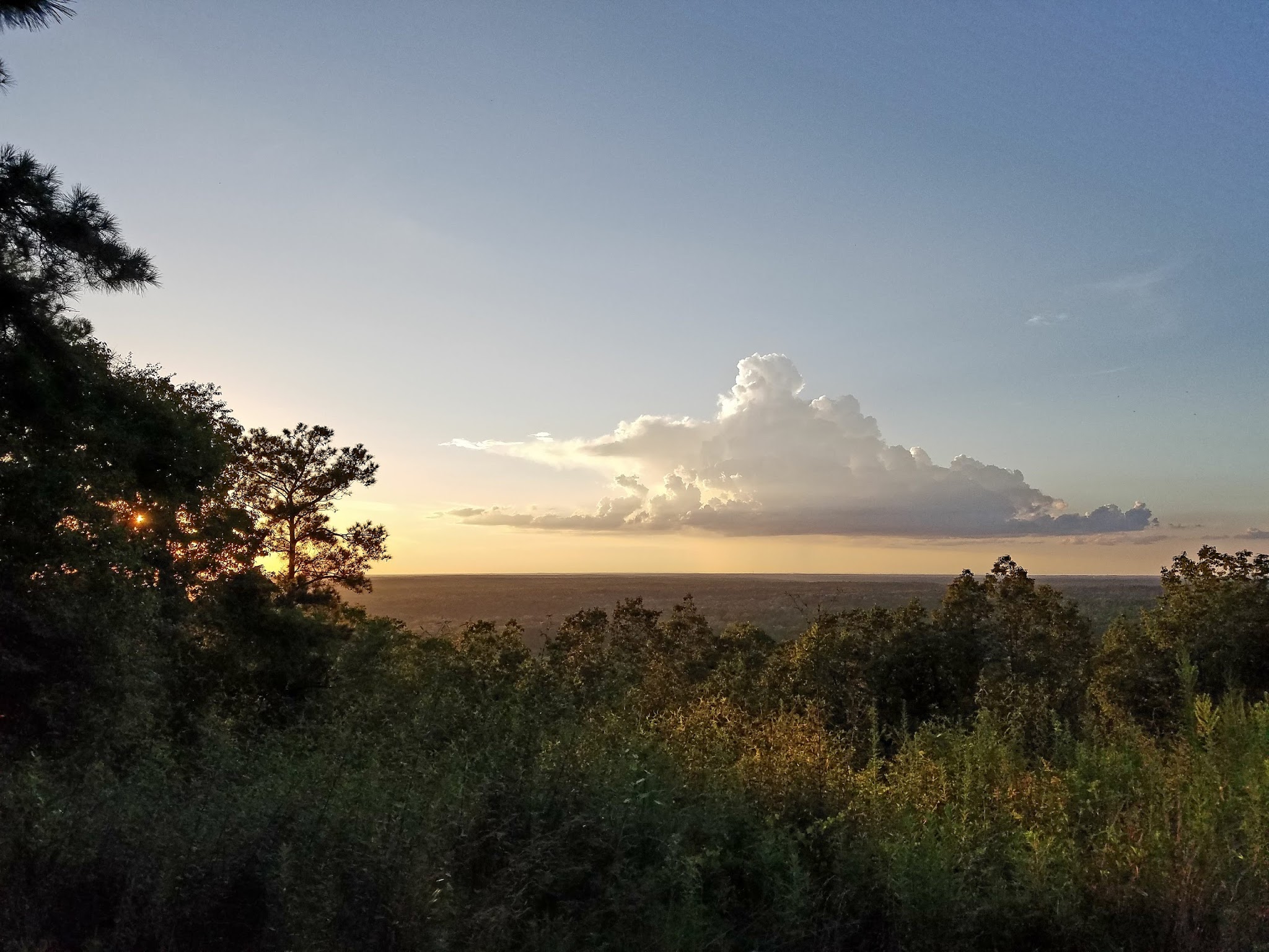 Franklin D. Roosevelt State Park