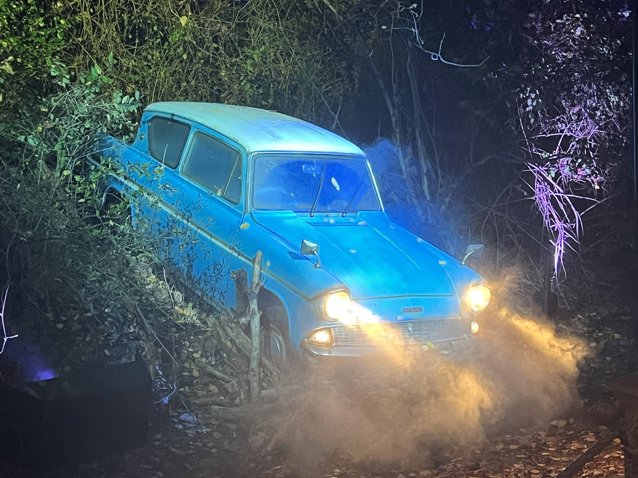 Franklin D. Roosevelt State Park