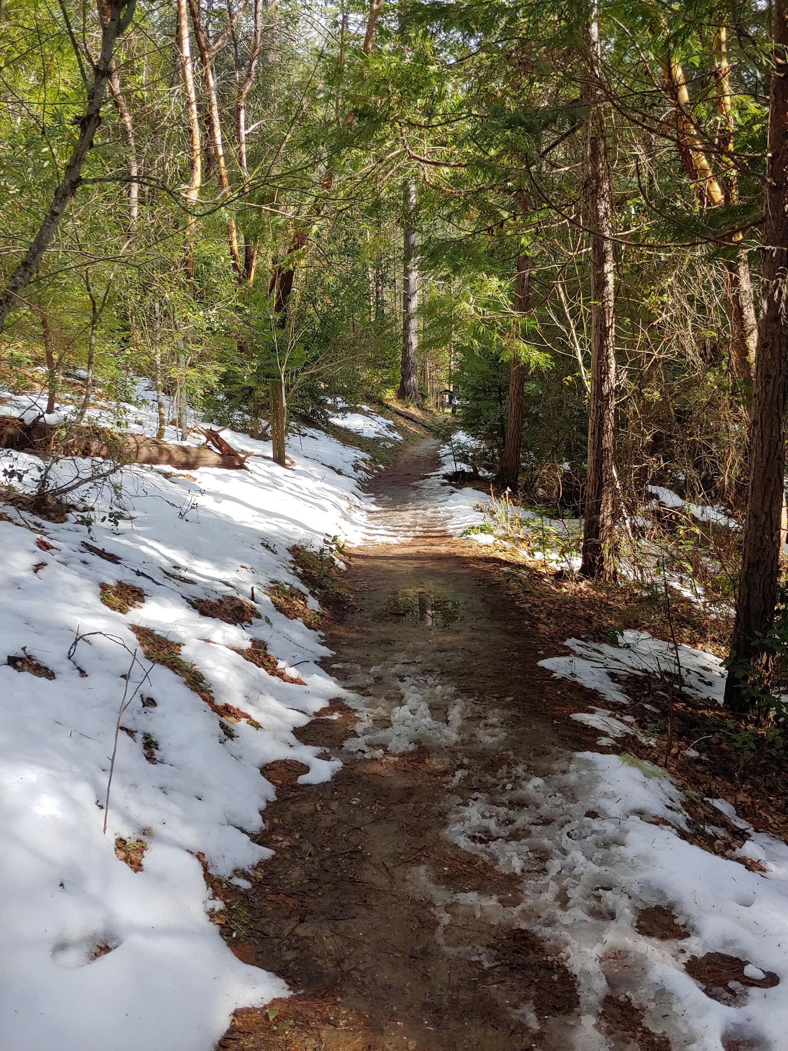 Feather Falls Trailhead Campground