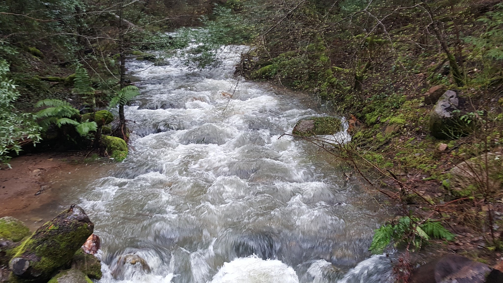 Feather Falls Trailhead Campground